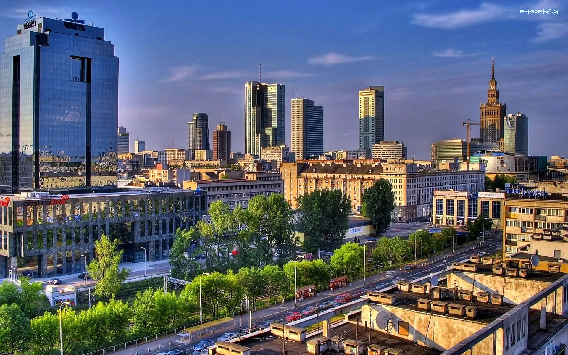 Warszawa, Pałac Kultury, Drzewa, Polska