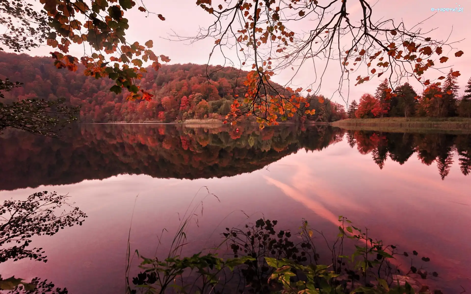 Jesień, Lasy, Jezioro