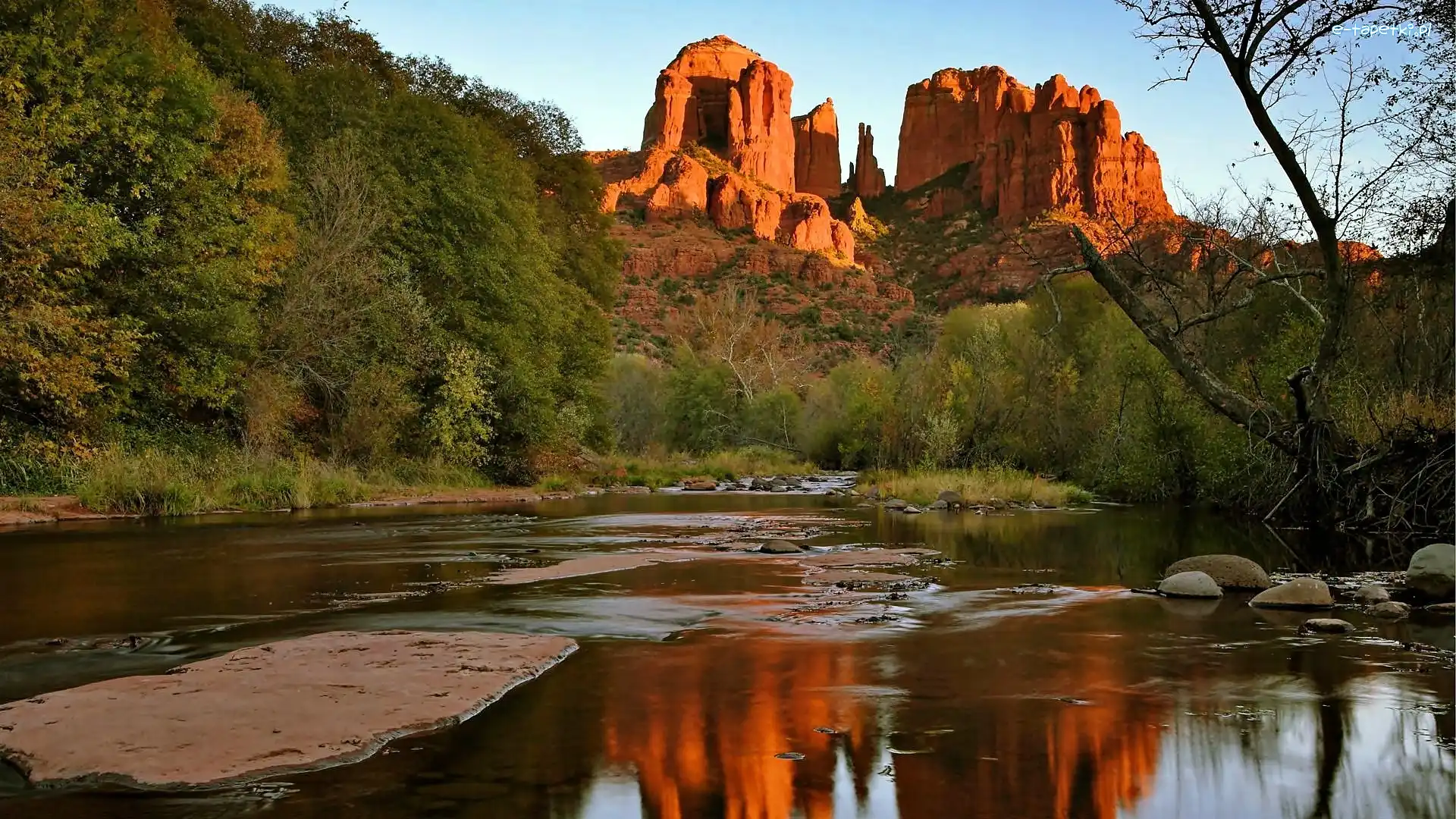 Sedona, Rzeka, Las, Arizona, Skały, Czerwone