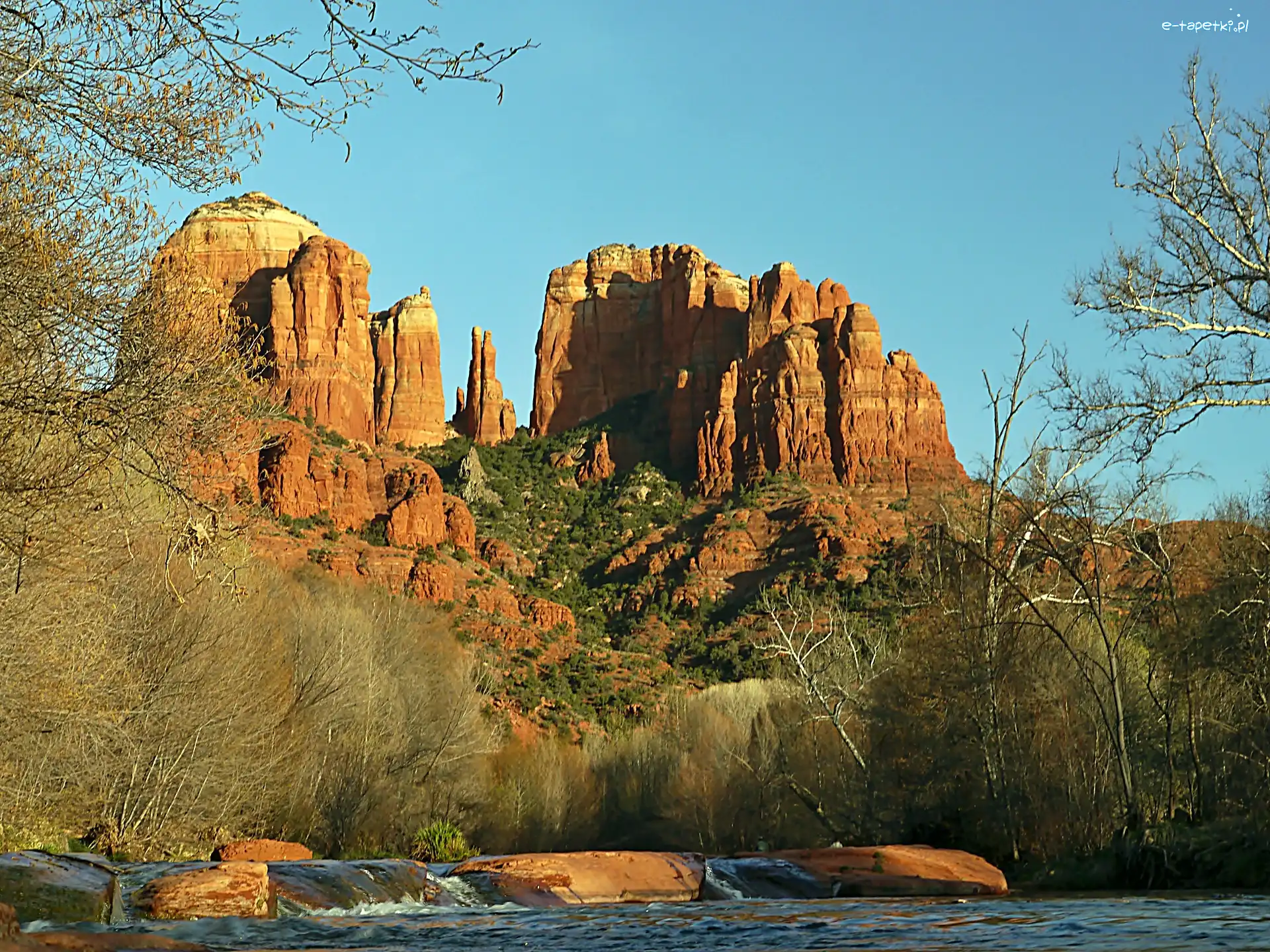 Sedona, Zarośla, Rzeka, Arizona, Drzewa, Skały