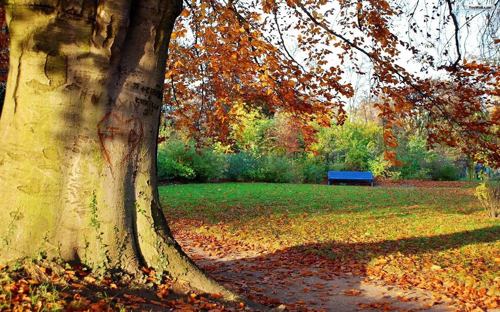Światło, Opadłe, Liście, Park, Jesień, Przebijające, Ławeczka