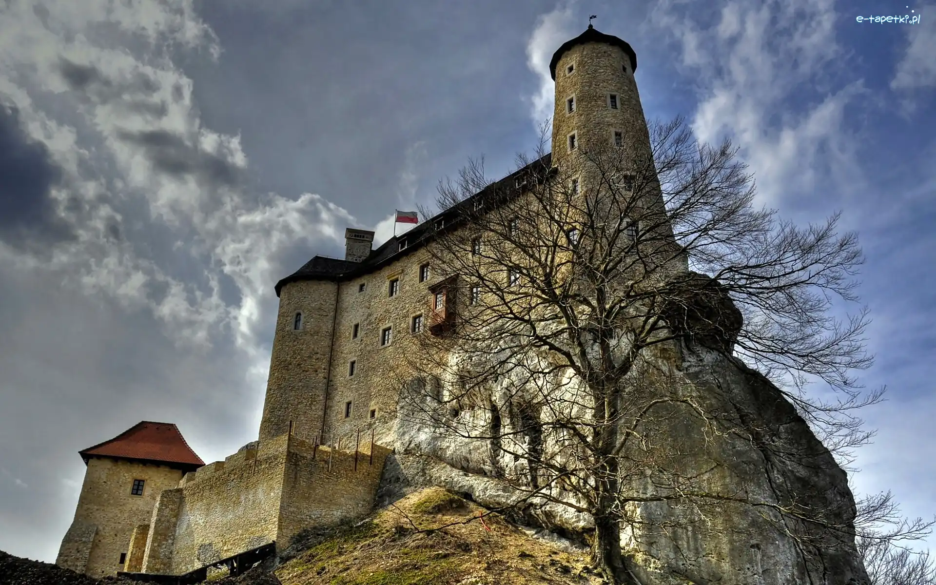 Wieś Bobolice, Polska, Śląskie, Zamek w Bobolicach