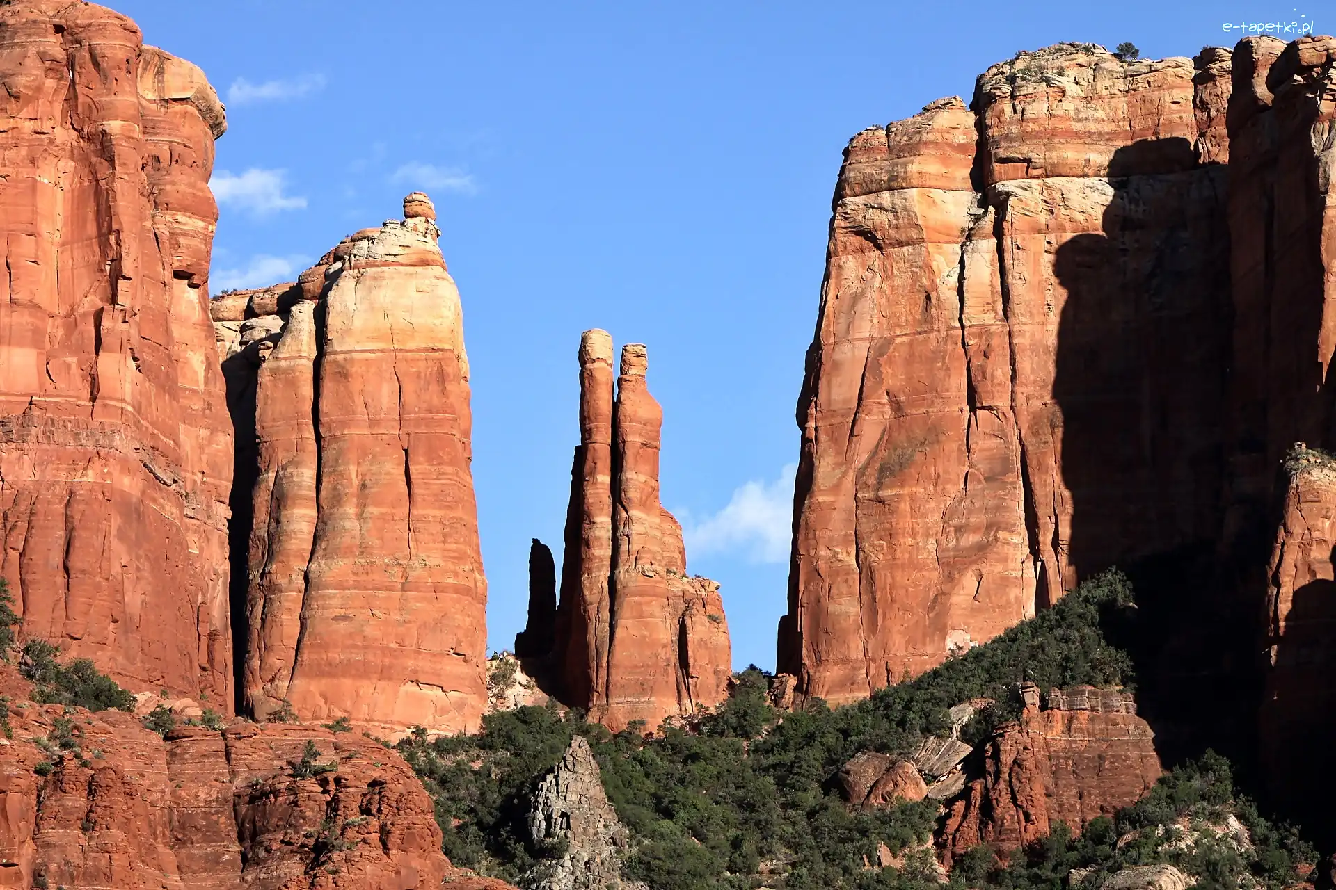 Skały, Zarośla, Kanion, Arizona, Sedona