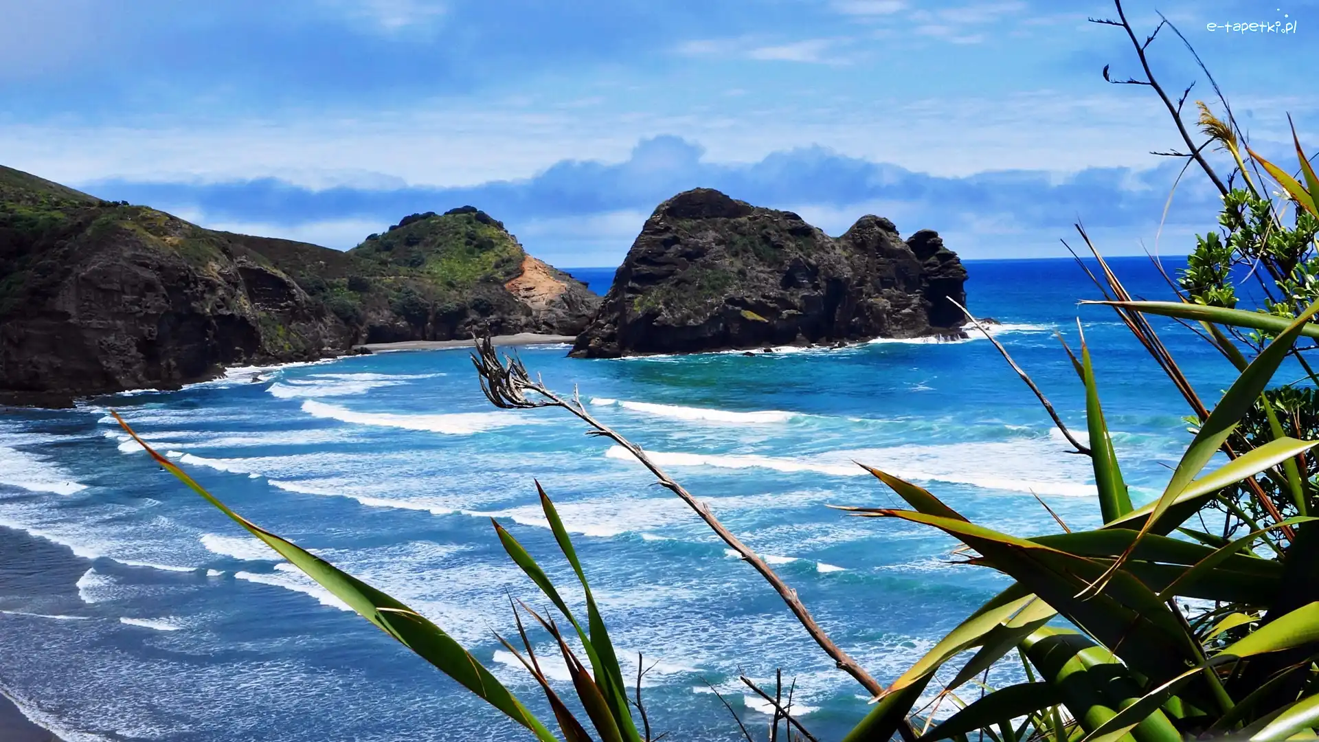 Beach, Roślinność, Przebijające, Skały, Morze, Piha, Światło
