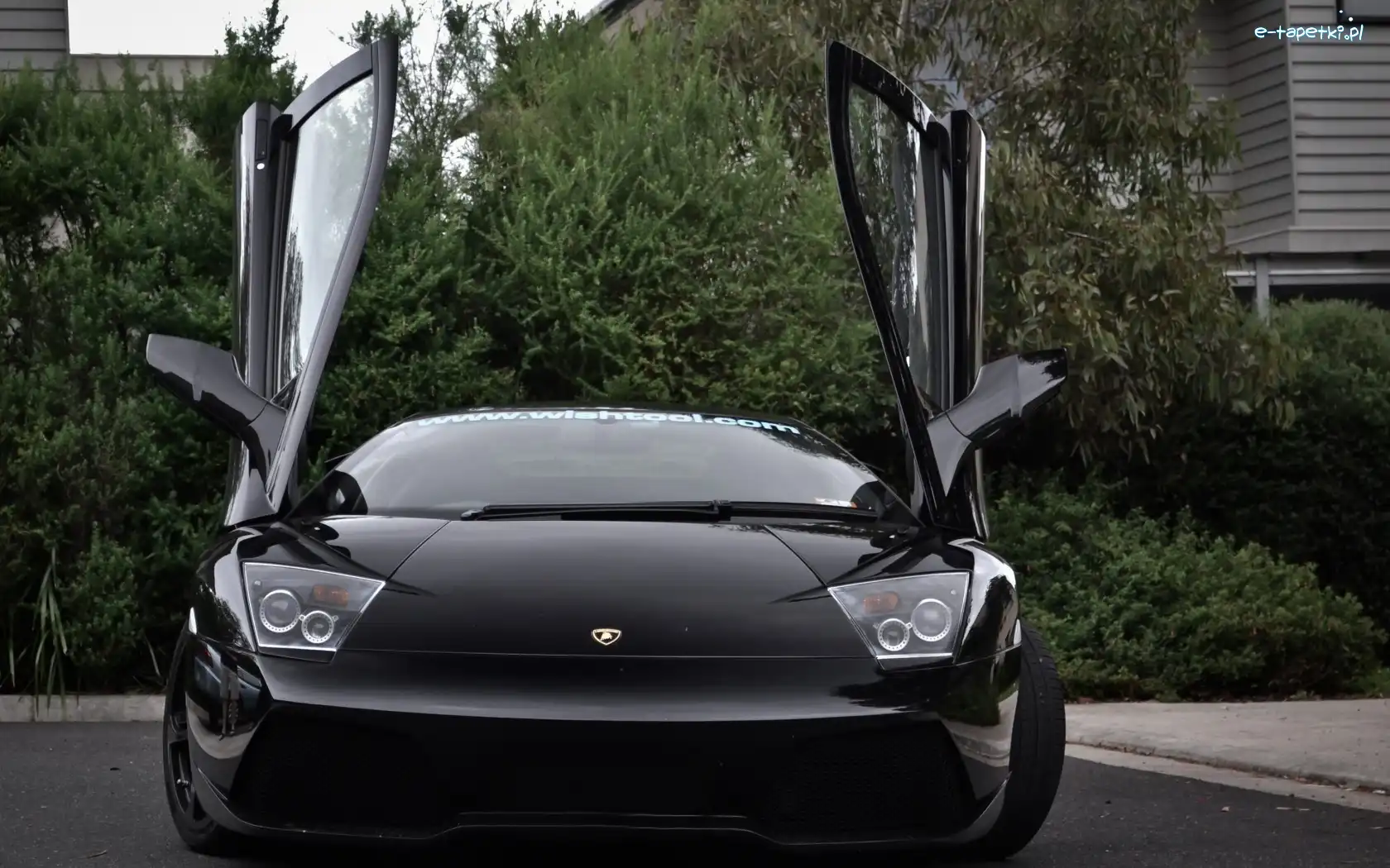 Murcielago, Lamborghini