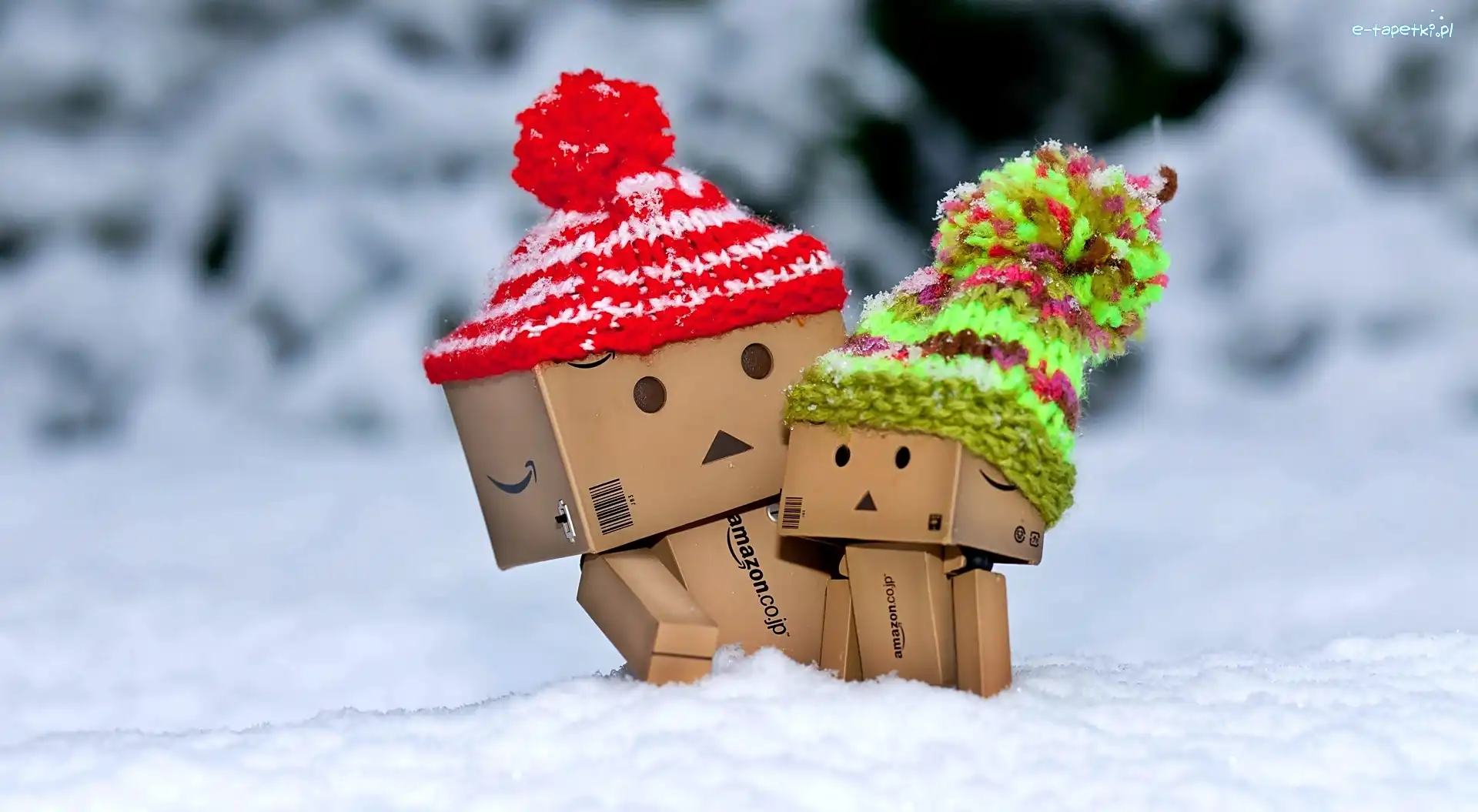 Zima, Danbo, Śnieg, Czapki, Włóczkowe