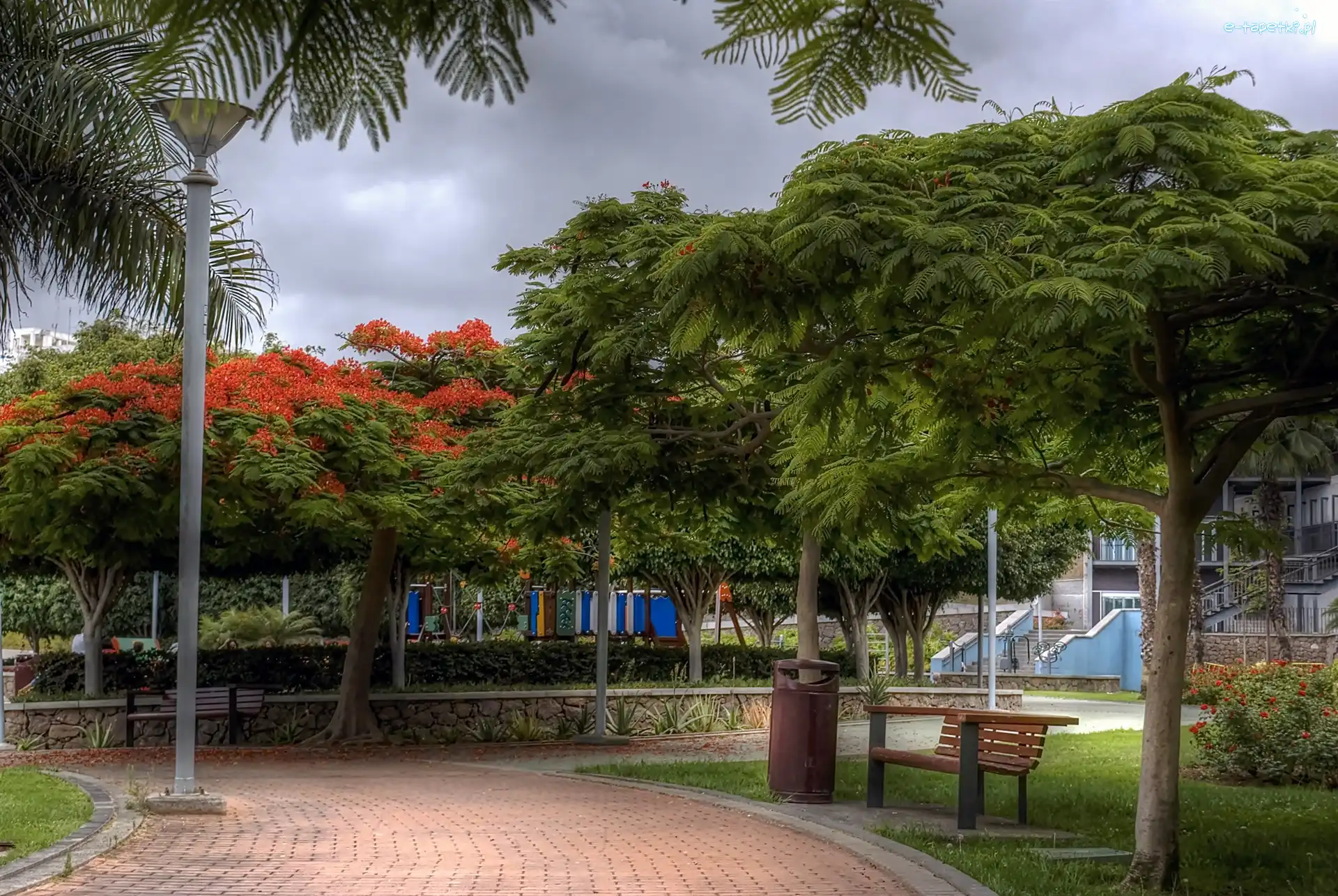 Kanaryjskie, Nature, Spain, Bench, Park, Wyspy, Aleja