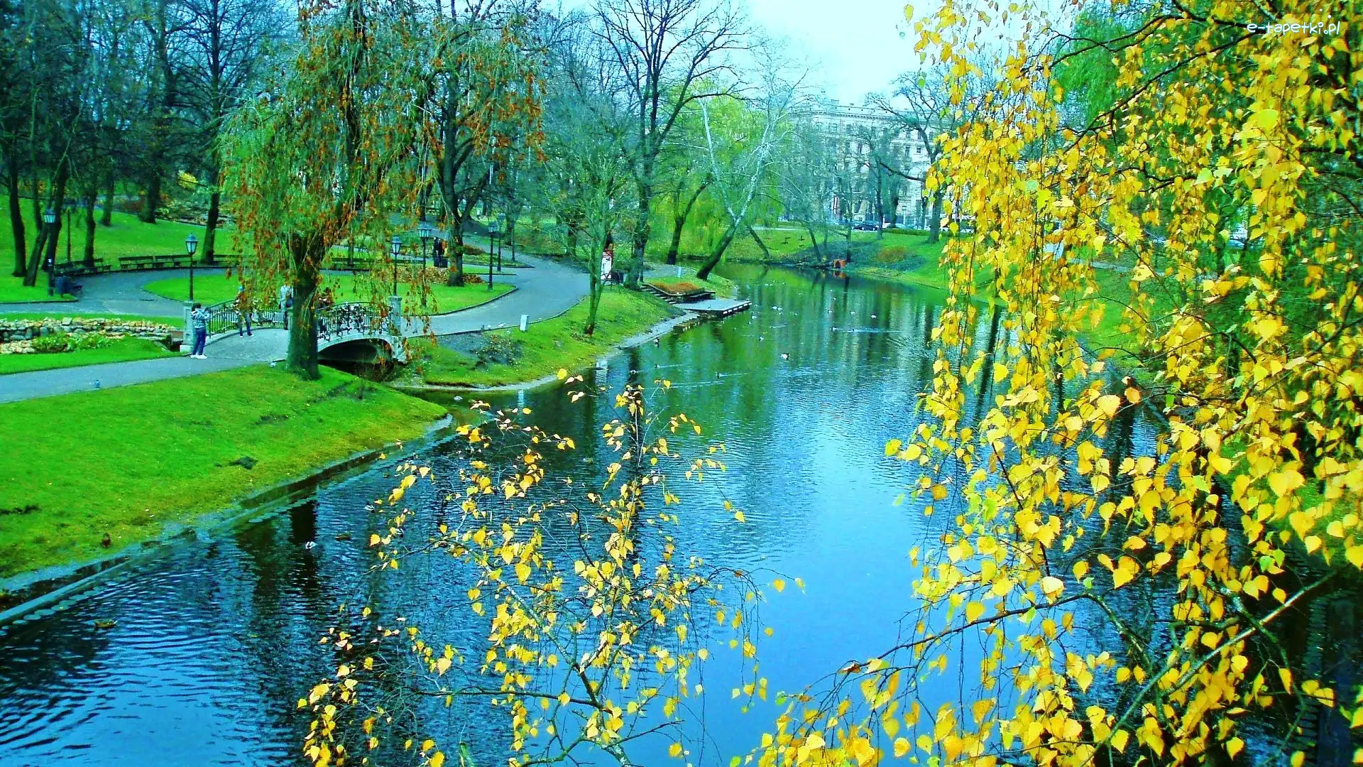 Staw, Park
