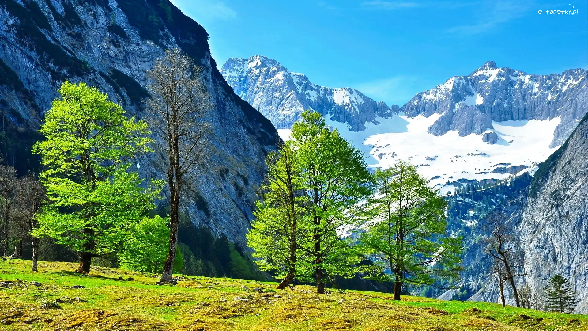 Góry, Drzewa, Śnieg, Austria, Alpy