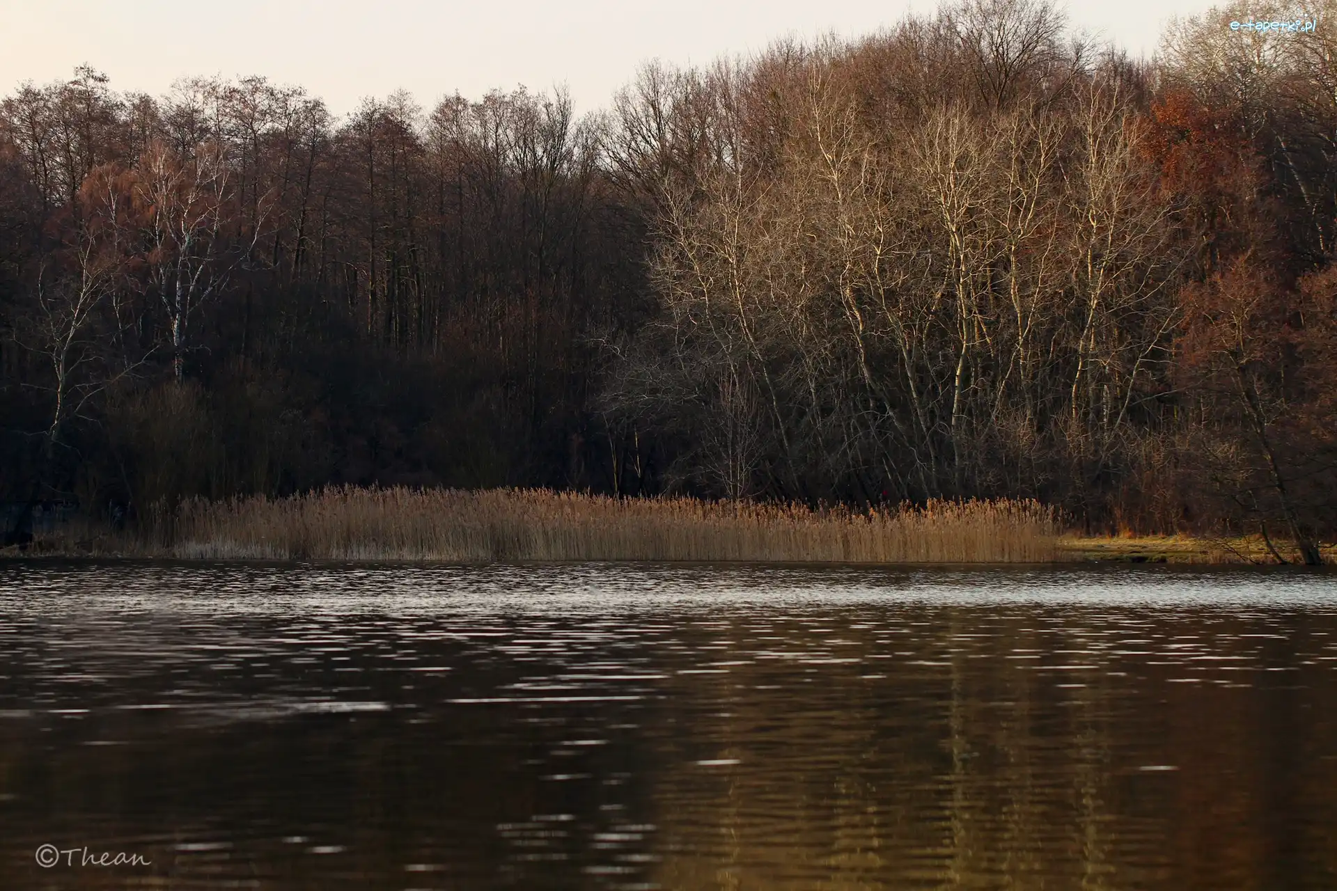 Przedwiośnie, Drzewa, Jezioro