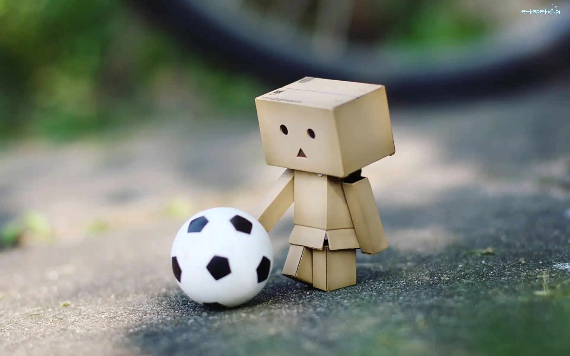 Piłka, Danbo