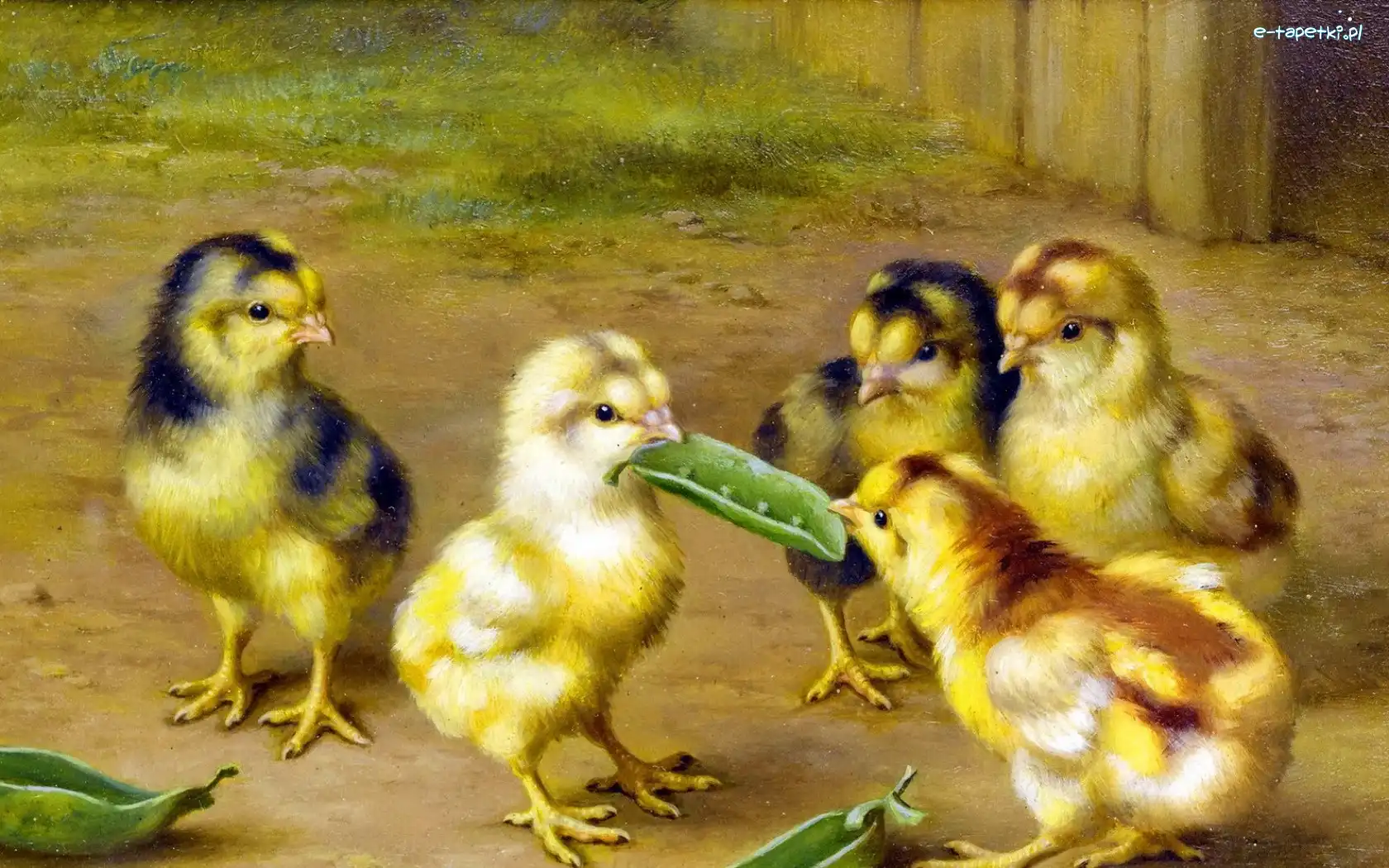 Obraz, Groszek, Kurczaki, Malarstwo