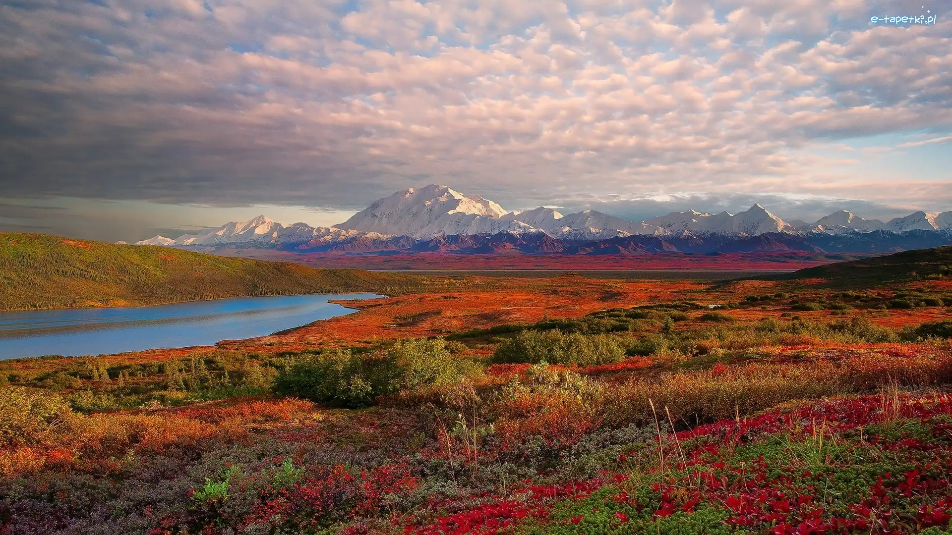 Jezioro, Stany Zjednoczone, Góry, Roślinność, Park Narodowy Denali, Alaska