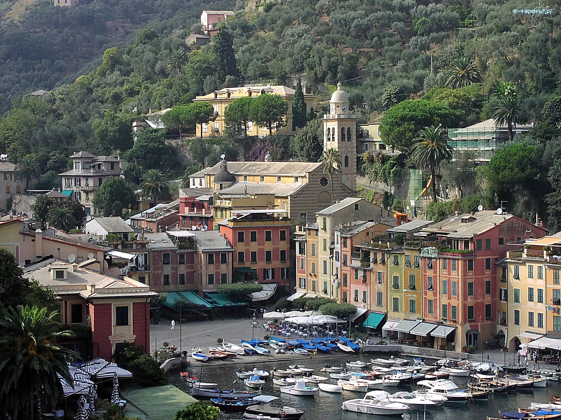 Miasteczko, Lasy, Łodzie, Jachty, Liguria, Portofino, Morze, Góry