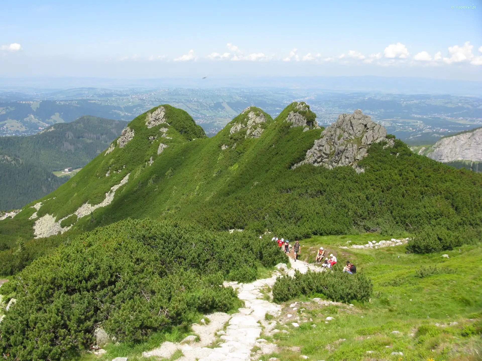 Góry, Kosodrzewina, Zieleń, Tatry, Ostańce