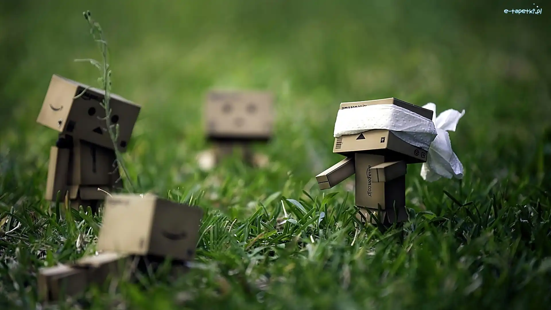 Trawa, W Ciuciubabkę, Zabawa, Danbo