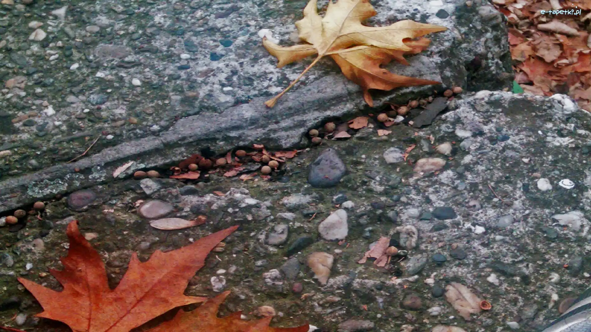 Kamienie, Liście