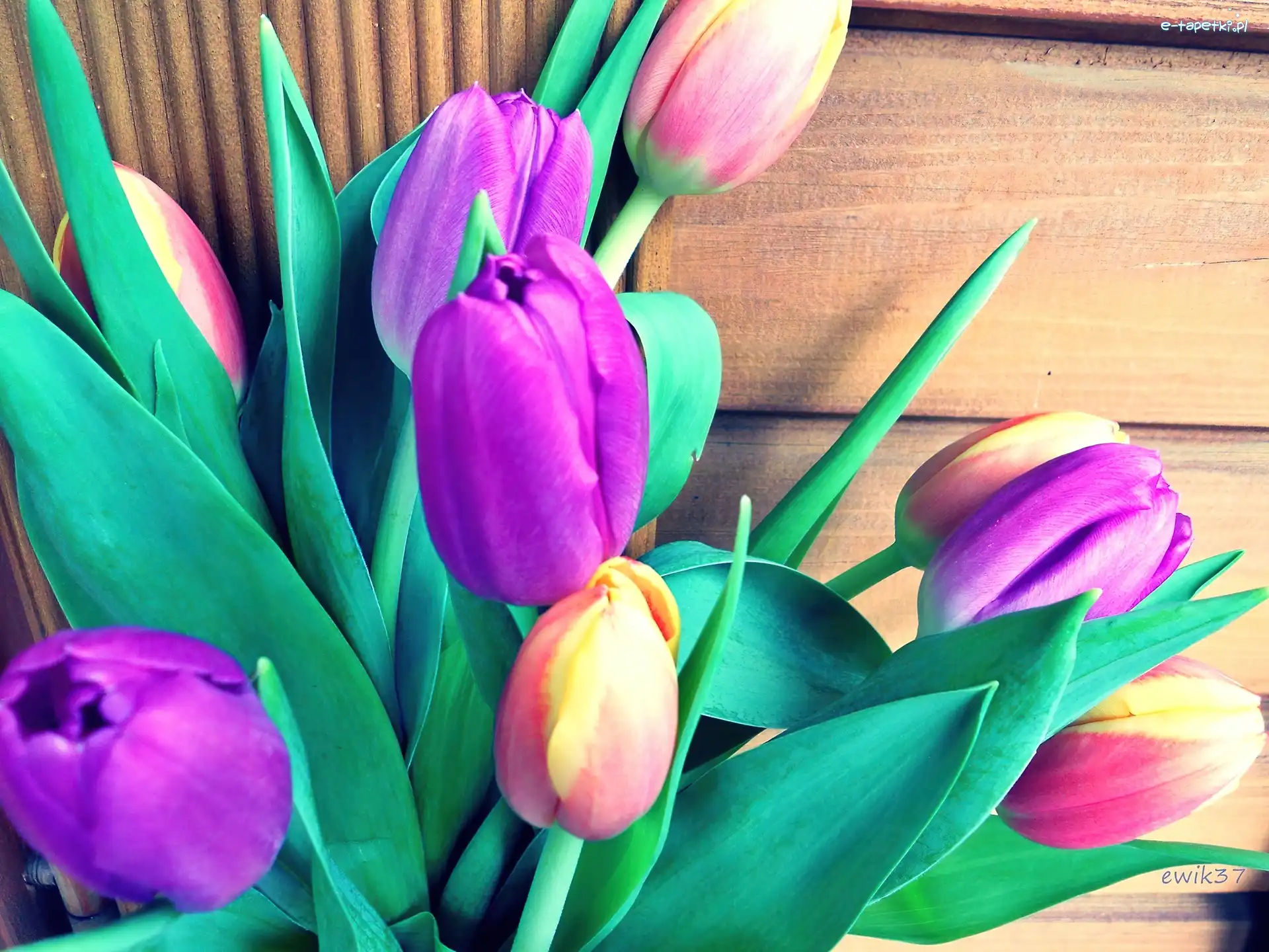 Bukiet, Tulipany