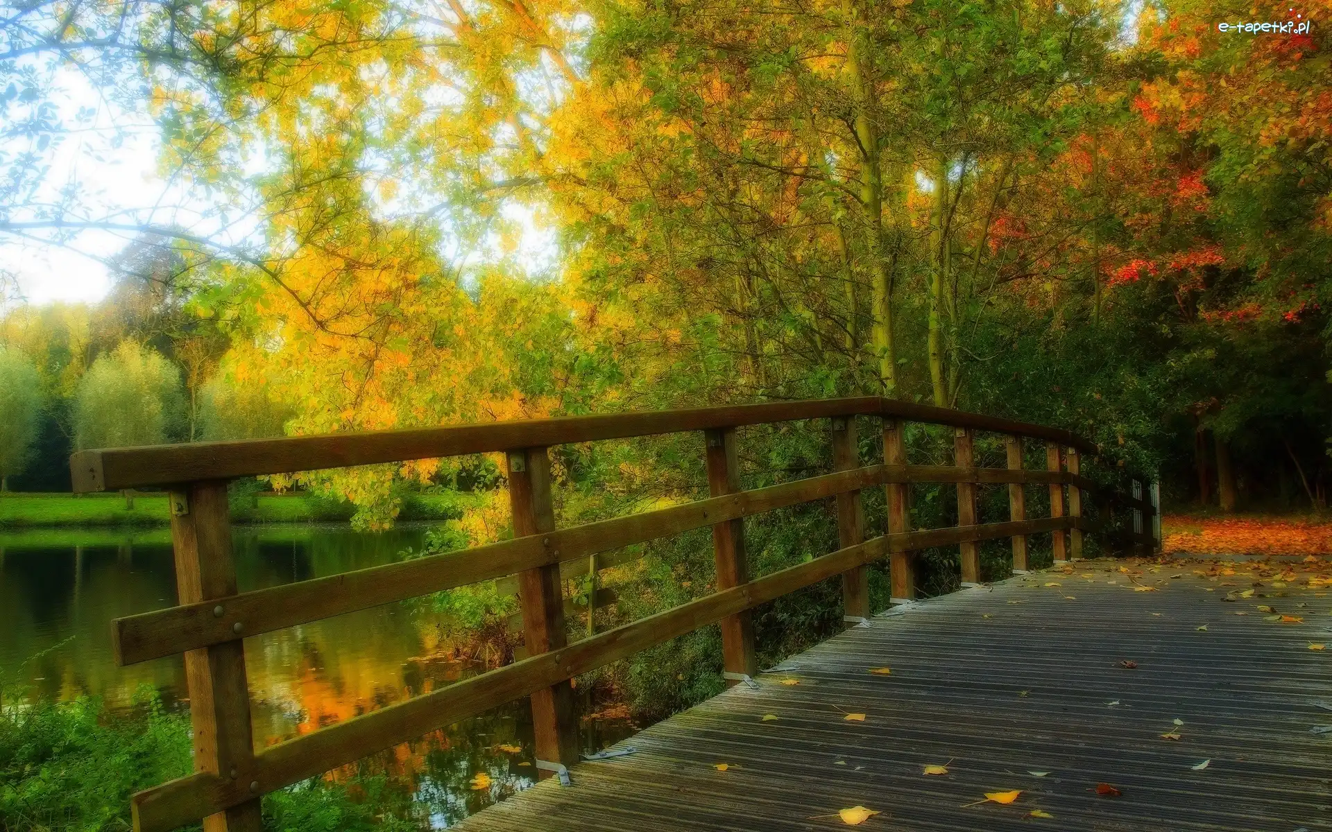 Rzeka, Park, Most, Jesień, Liście