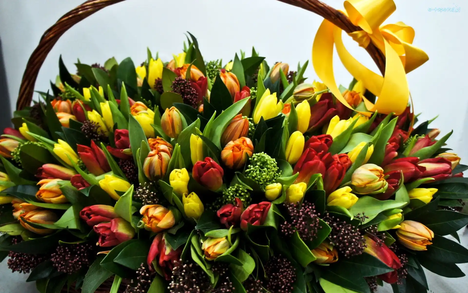 Tulipany, Kokarda, Kosz, Bukiet
