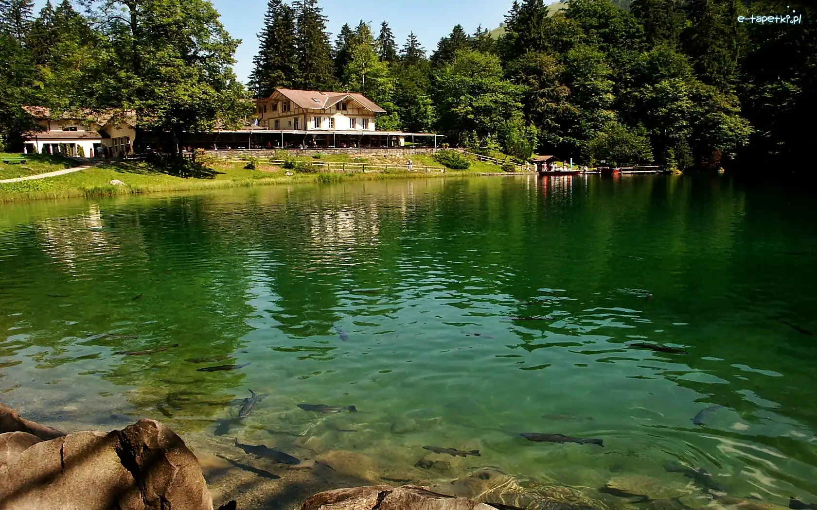 Jezioro, Wypoczynkowy, Ośrodek, Las