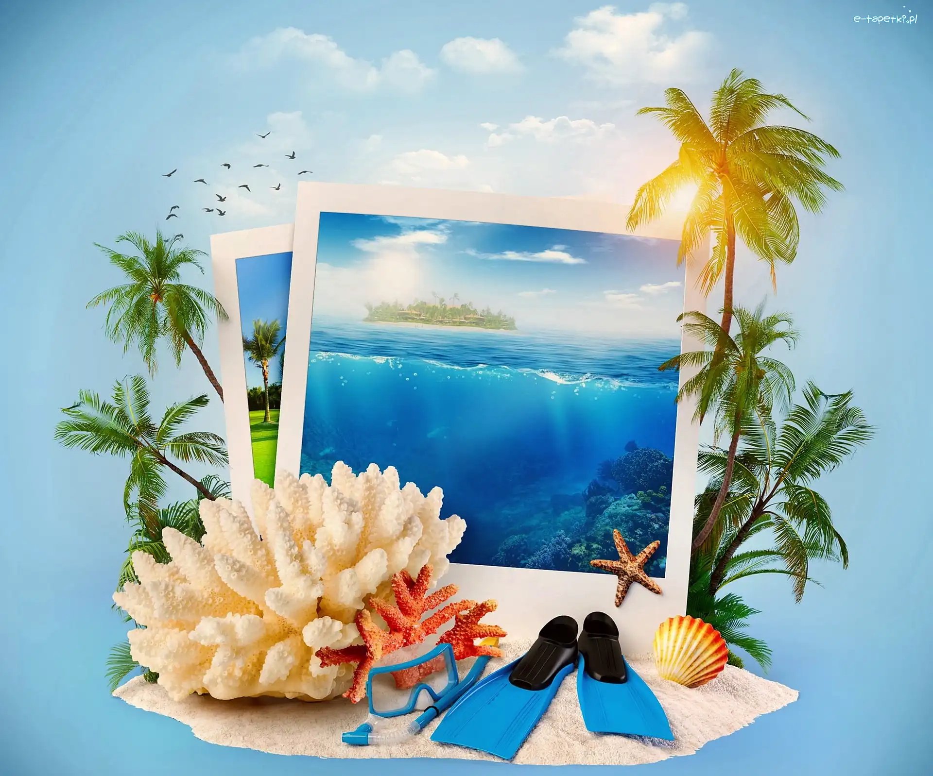 Wakacje, Palmy, Ocean, Lato