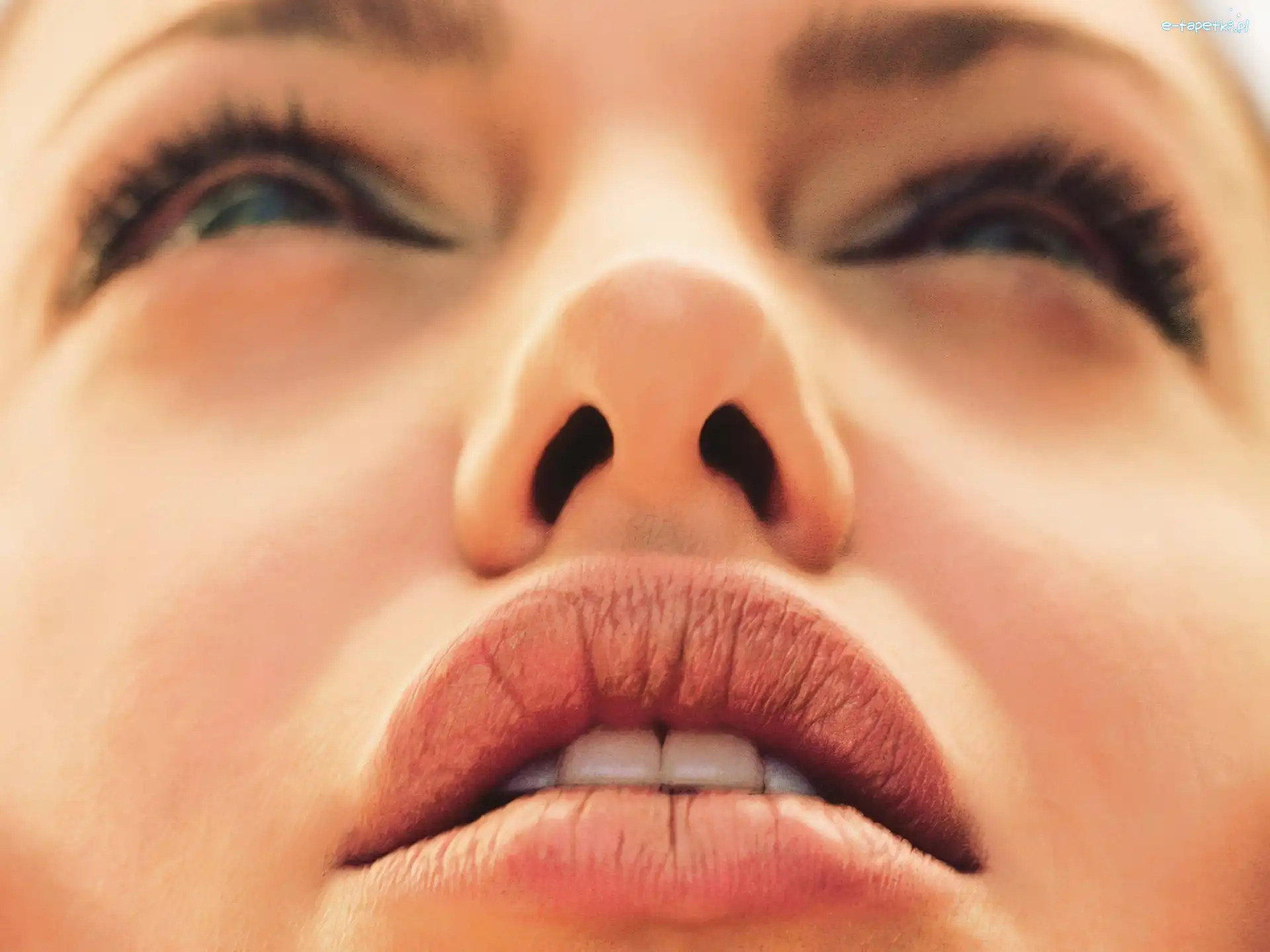 twarz, Angelina Jolie
