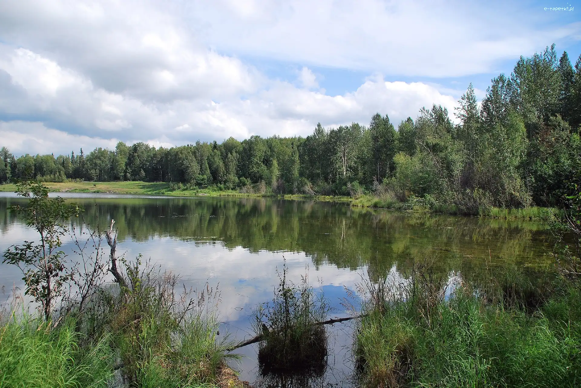 Drzewa, Jezioro
