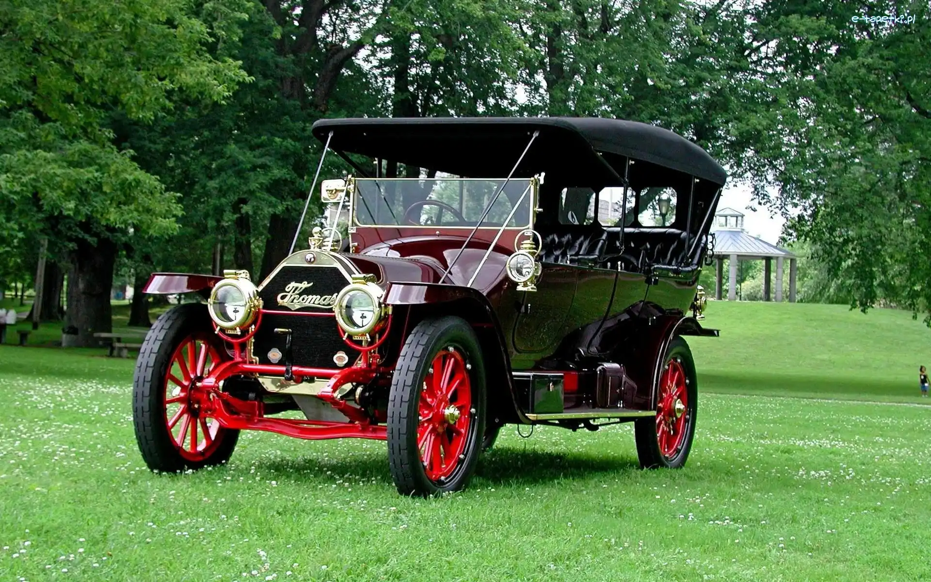 Trawa, Thomas, Flyer 1912, Drzewa, Zabytkowy, Samochód