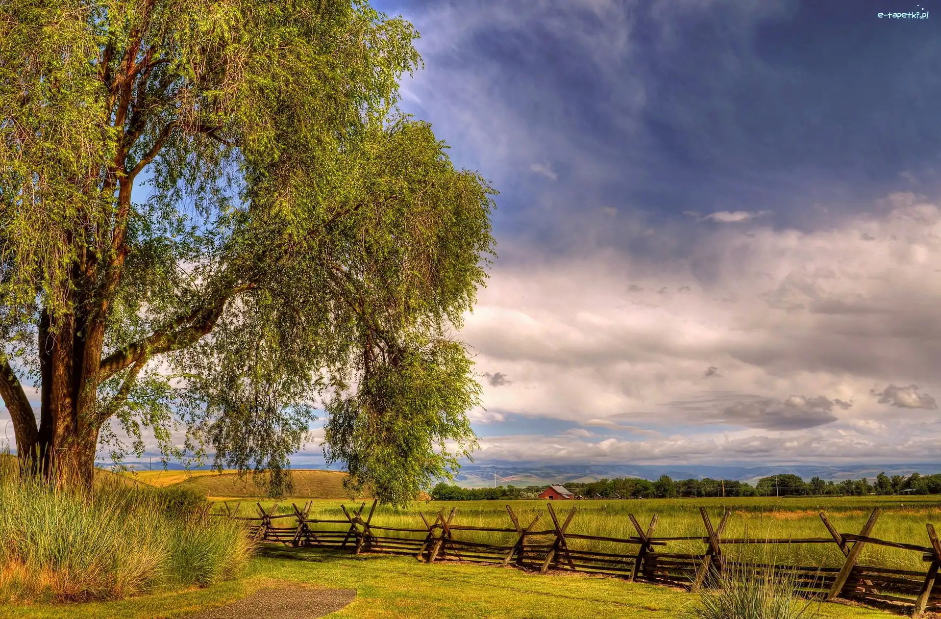 Łąki, Ogrodzenie, Pola, HDR, Drzewo