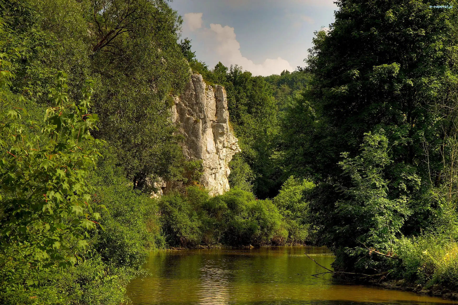 Rzeka, Góry, Las, Lato, Bawaria, Niemcy