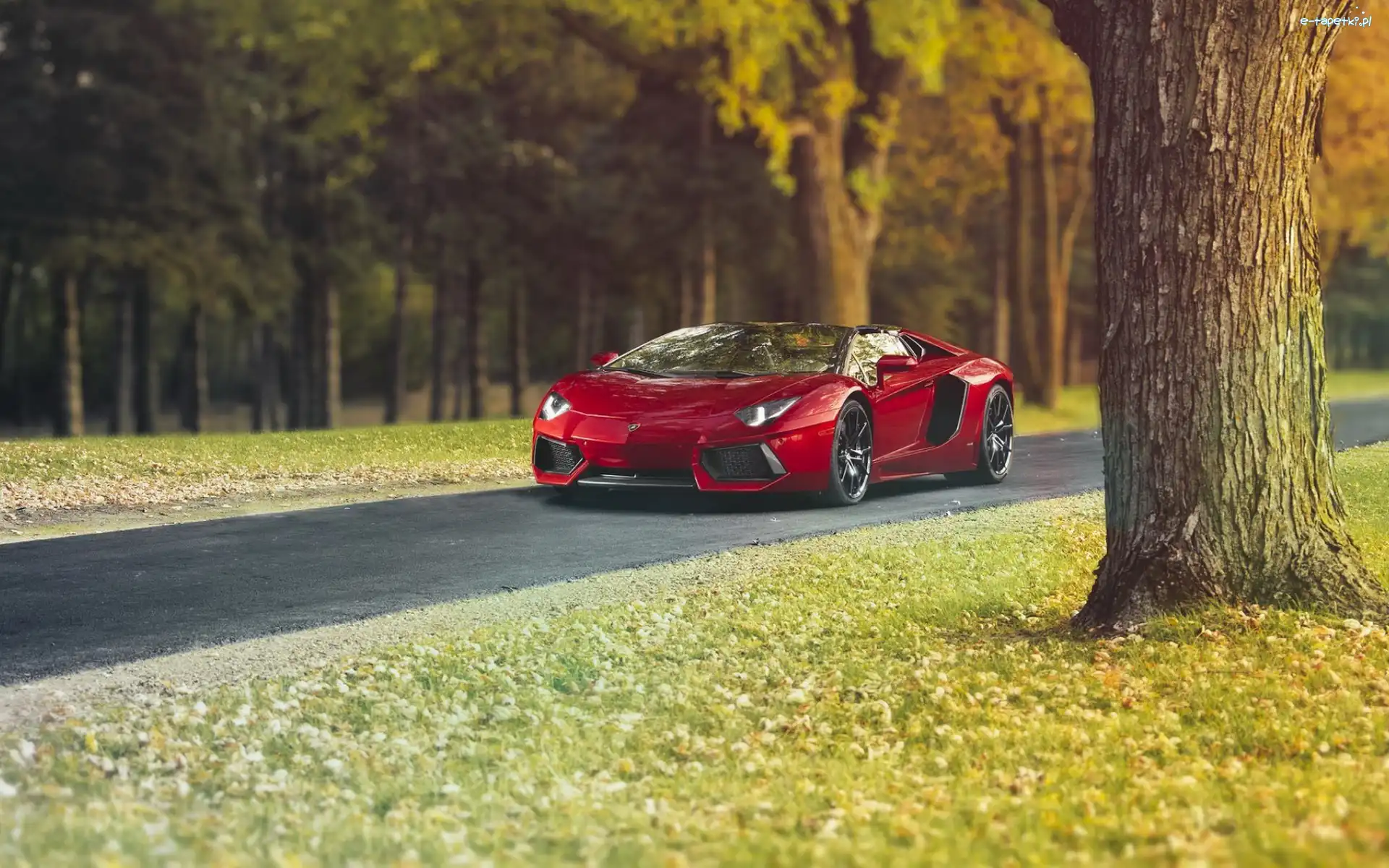 Lamborghini, Droga, Aventador, Czerwone