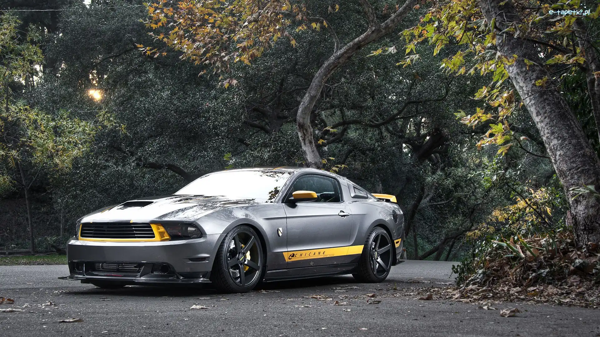 Mustang, Drzewa, Droga, Ford