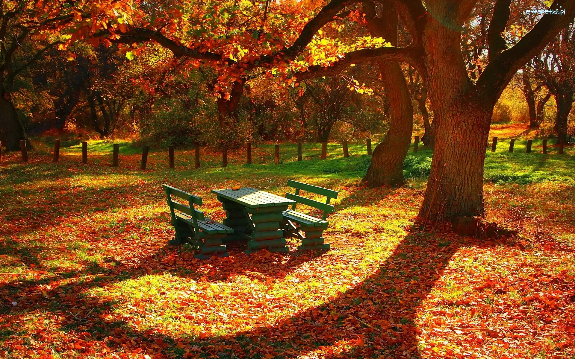 Park, Ławki, Zielone, Jesień
