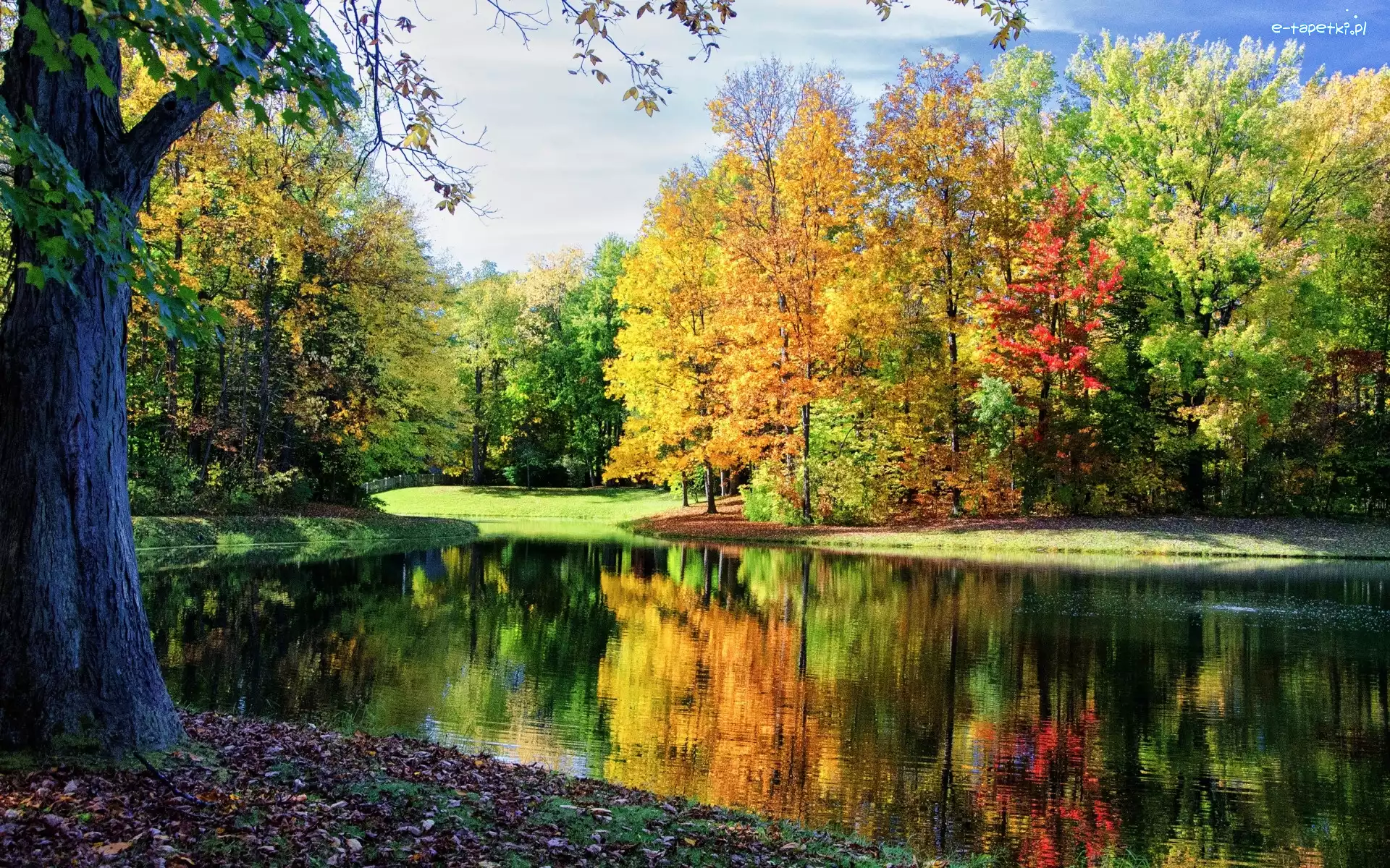 Park, Kolorowe, Rzeka, Jesień, Drzewa