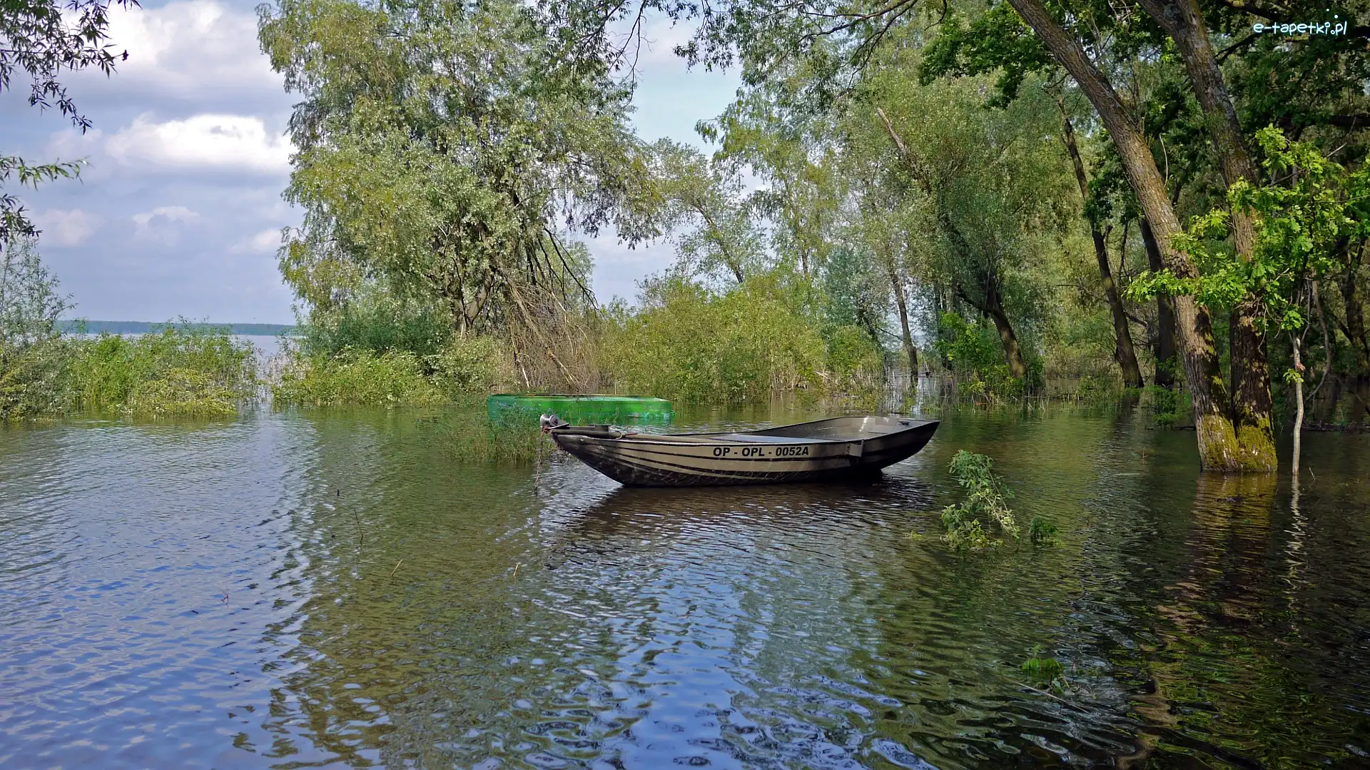 Drzewa, Jezioro, Łódka