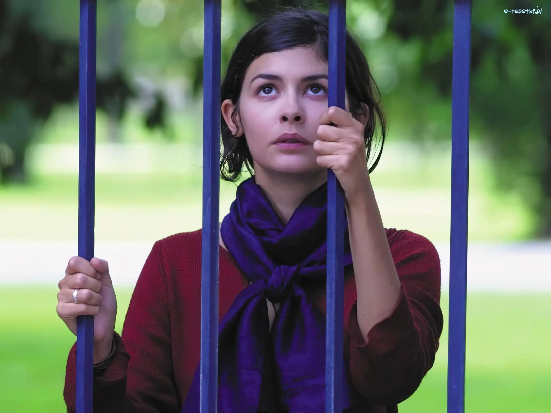 fioletowa apaszka, Audrey Tautou