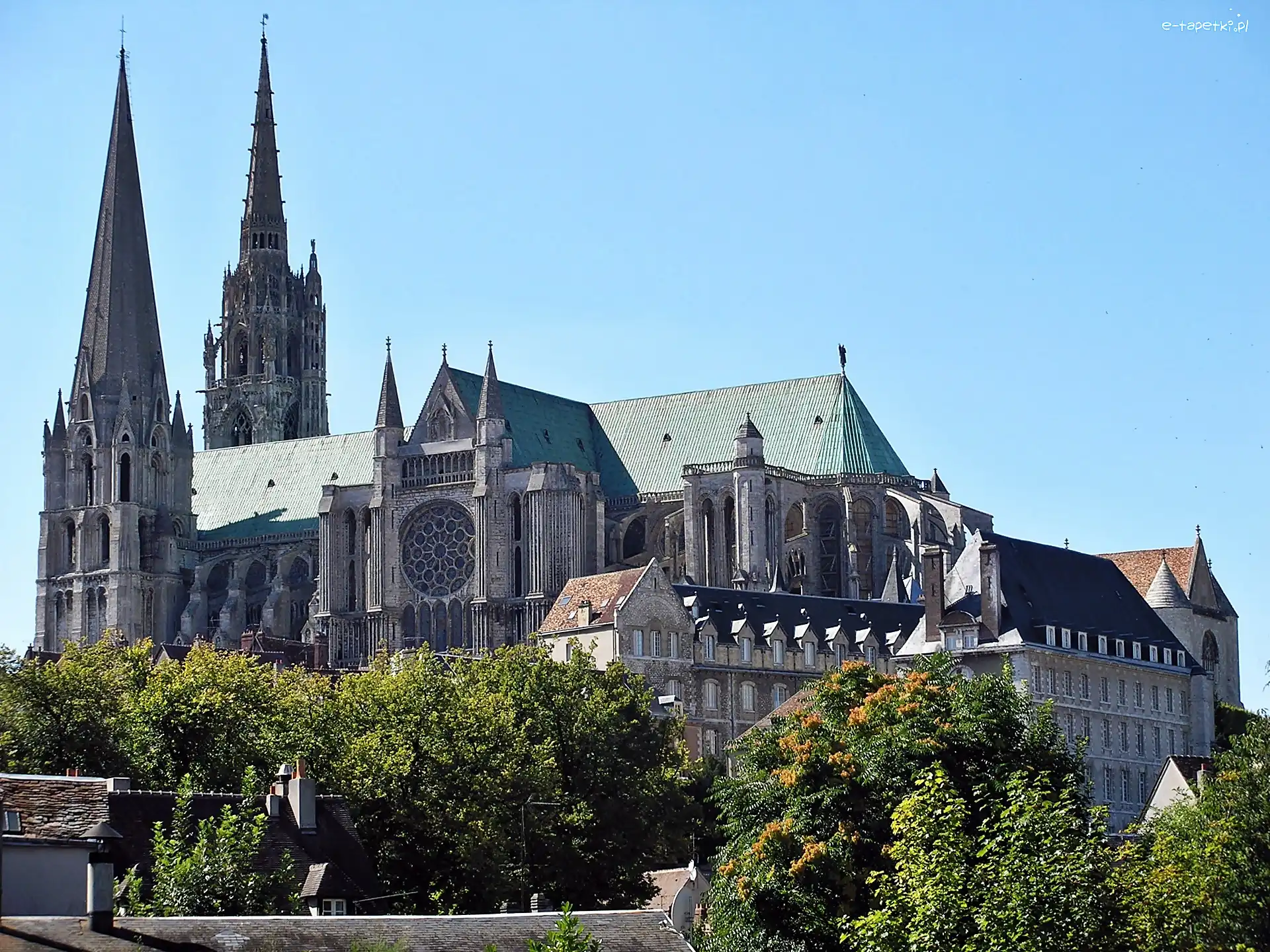 Katedra, Drzewa, Domy, Chartres