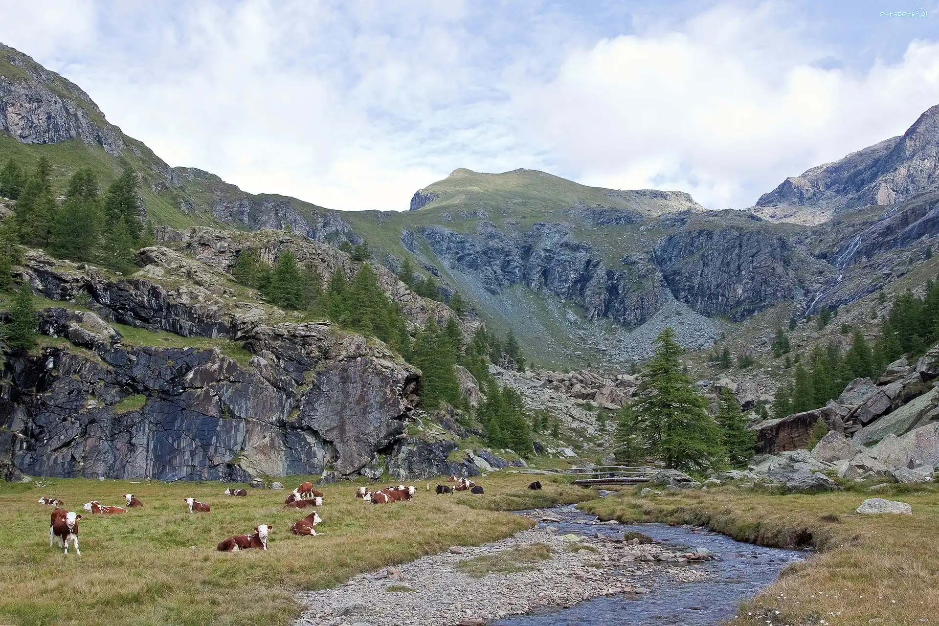 Krowy, Góry, Rzeka