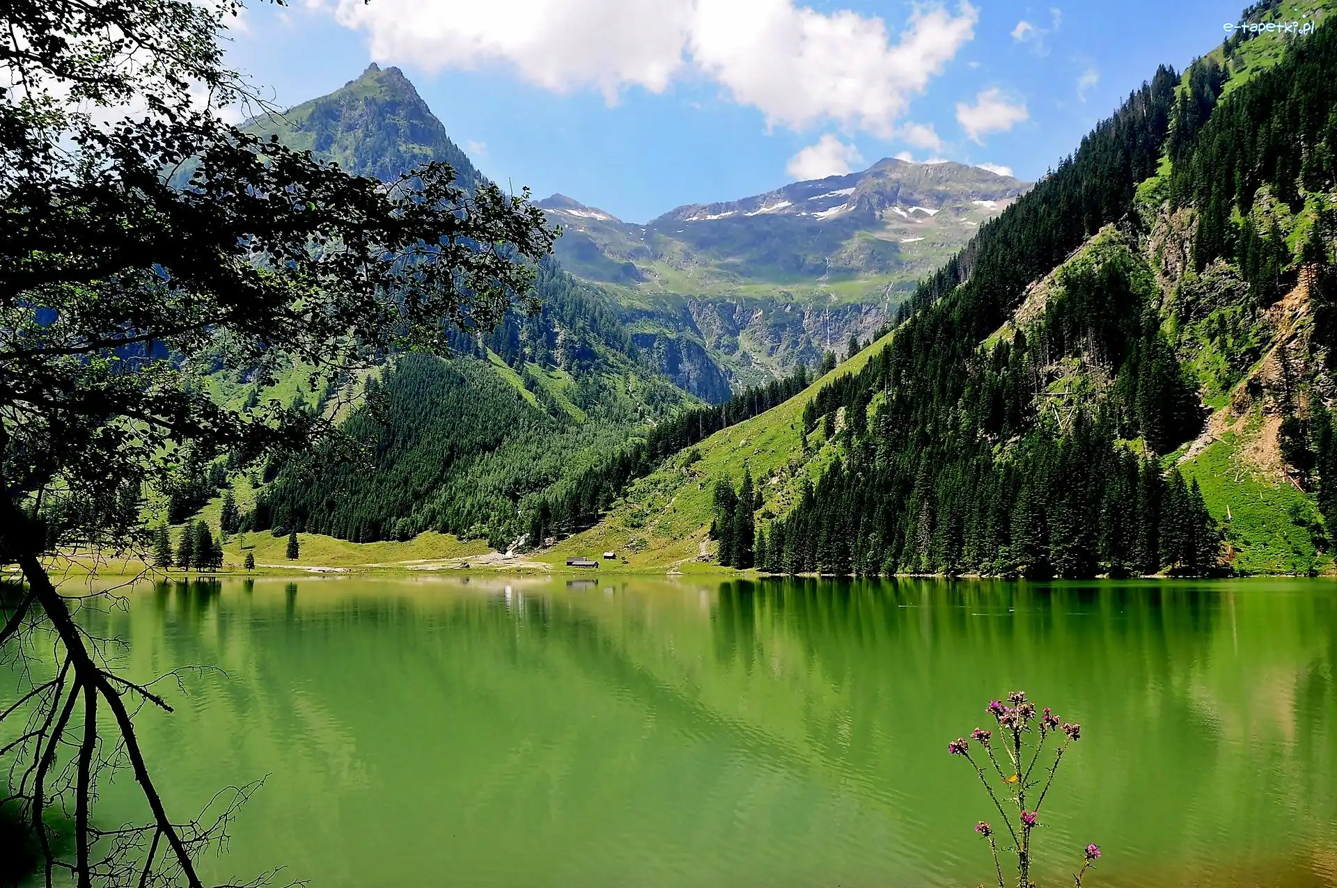 Lasy, Schwrzensee, Jezioro, Góry