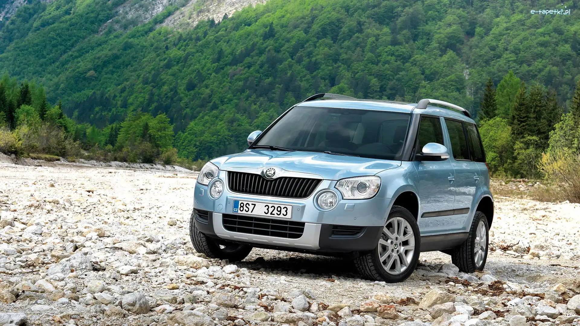 Yeti, Kamienie, Las, Skoda