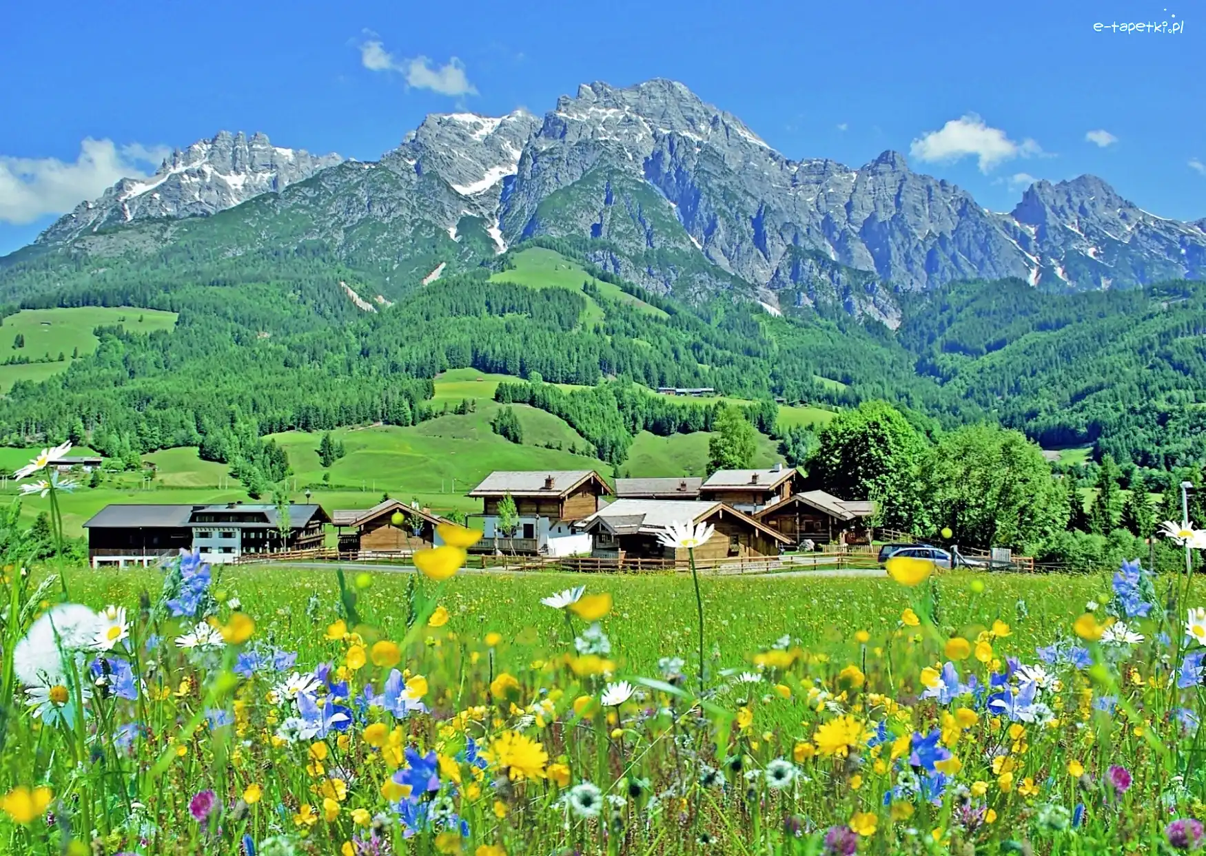 Góry, Łąka, Lasy, Steinalmdorf, Wioska