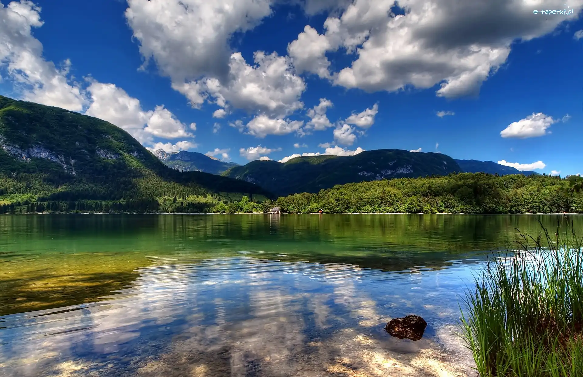 Chmury, Lasy, Góry, Bohinj, Jezioro