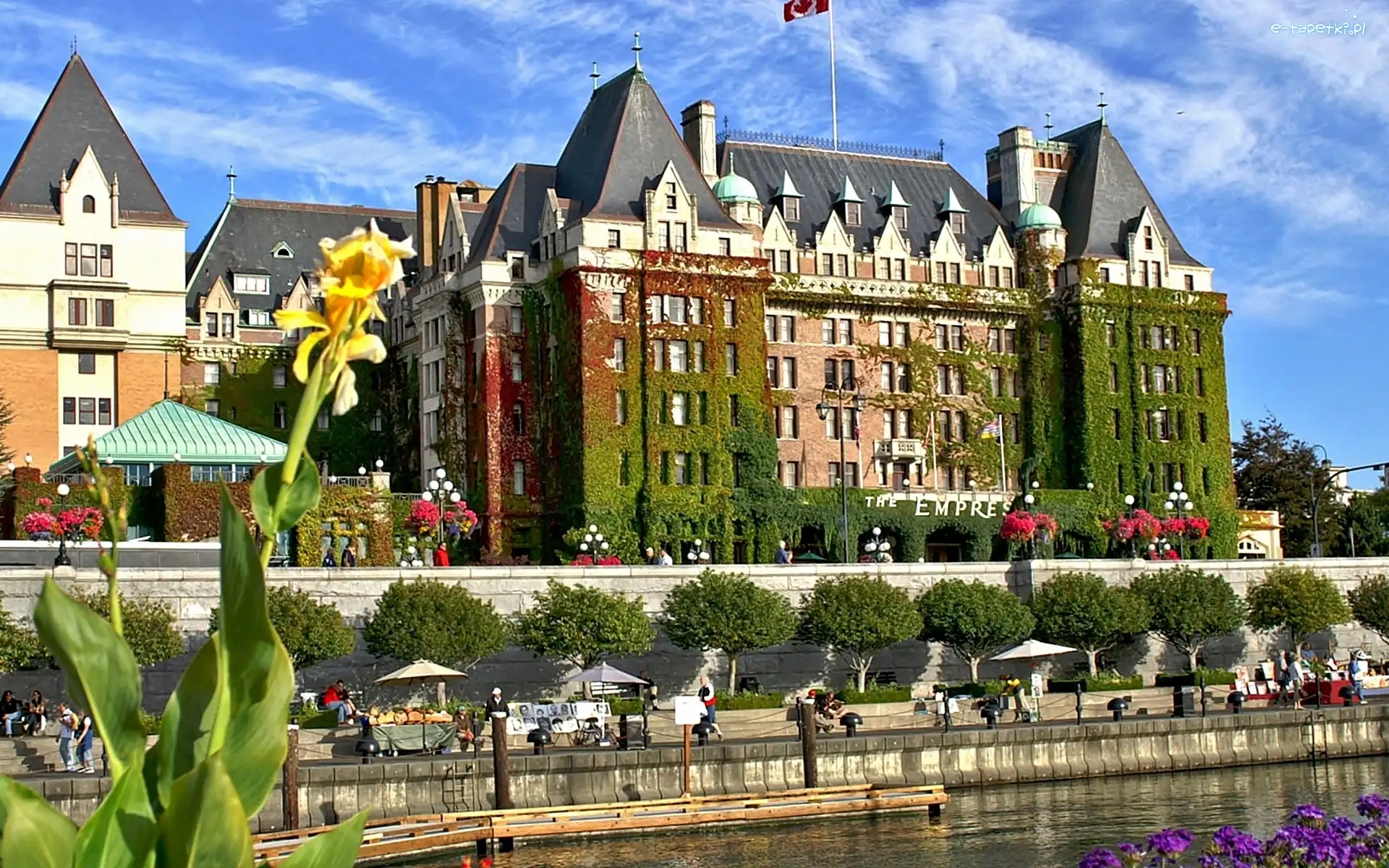 Drzewa, Victoria, Kolumbia, The Empress, Hotel, Rzeka, Brytyjska