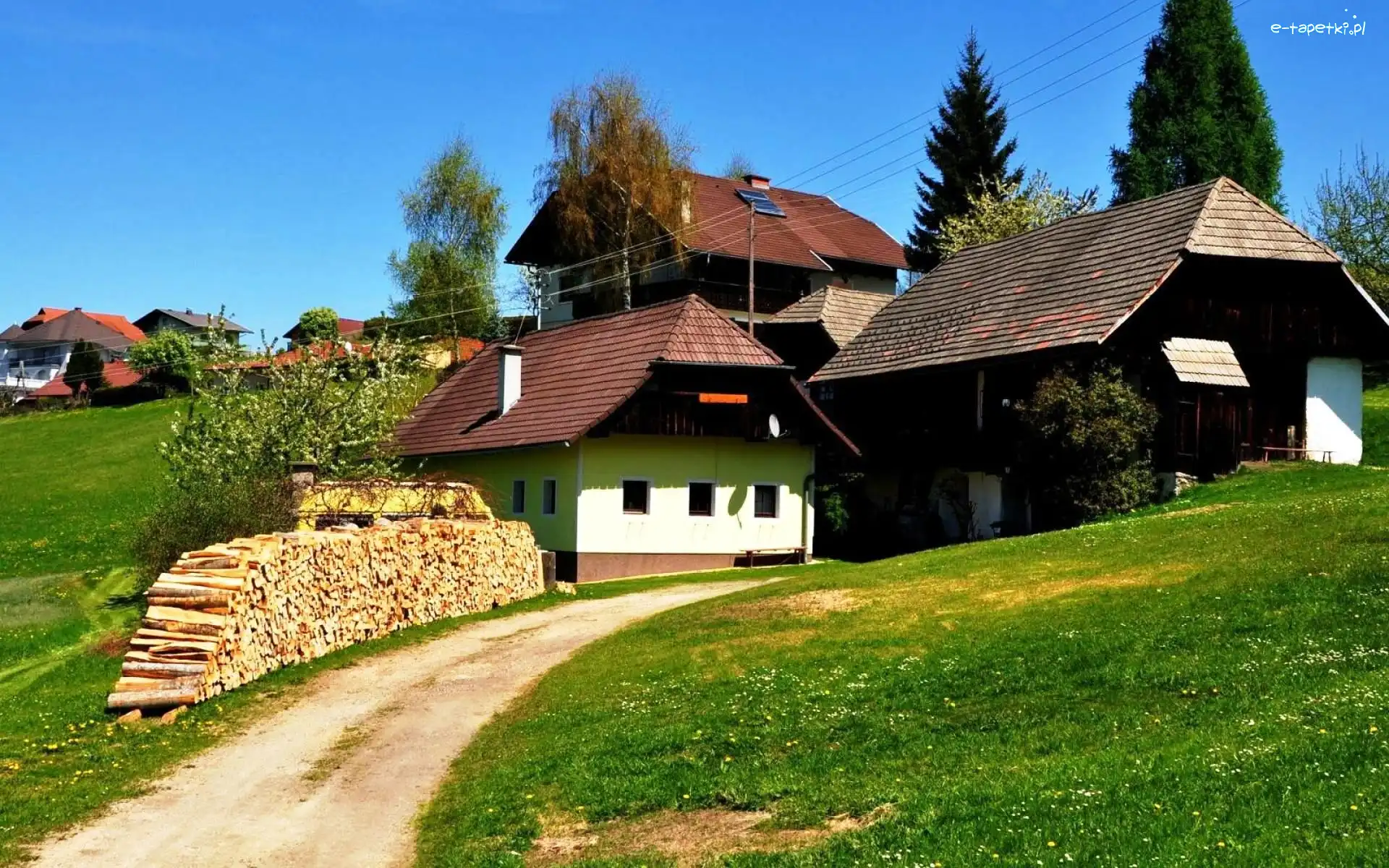 Ścieżka, Austria, Łąka, Domy