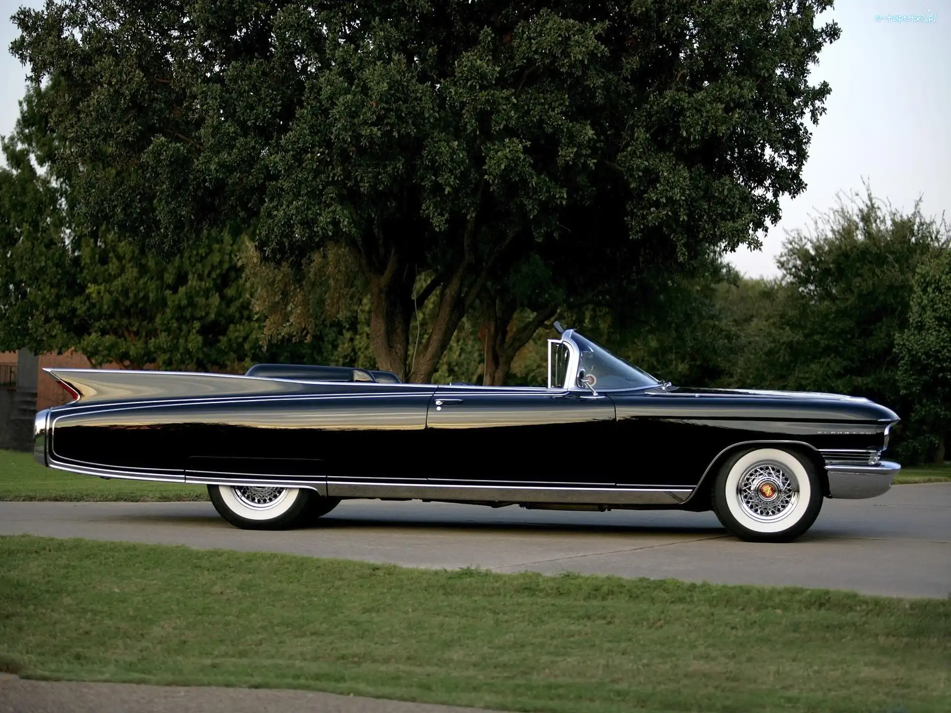 Cadillac, Drzewa, Eldorado, Zabytkowy