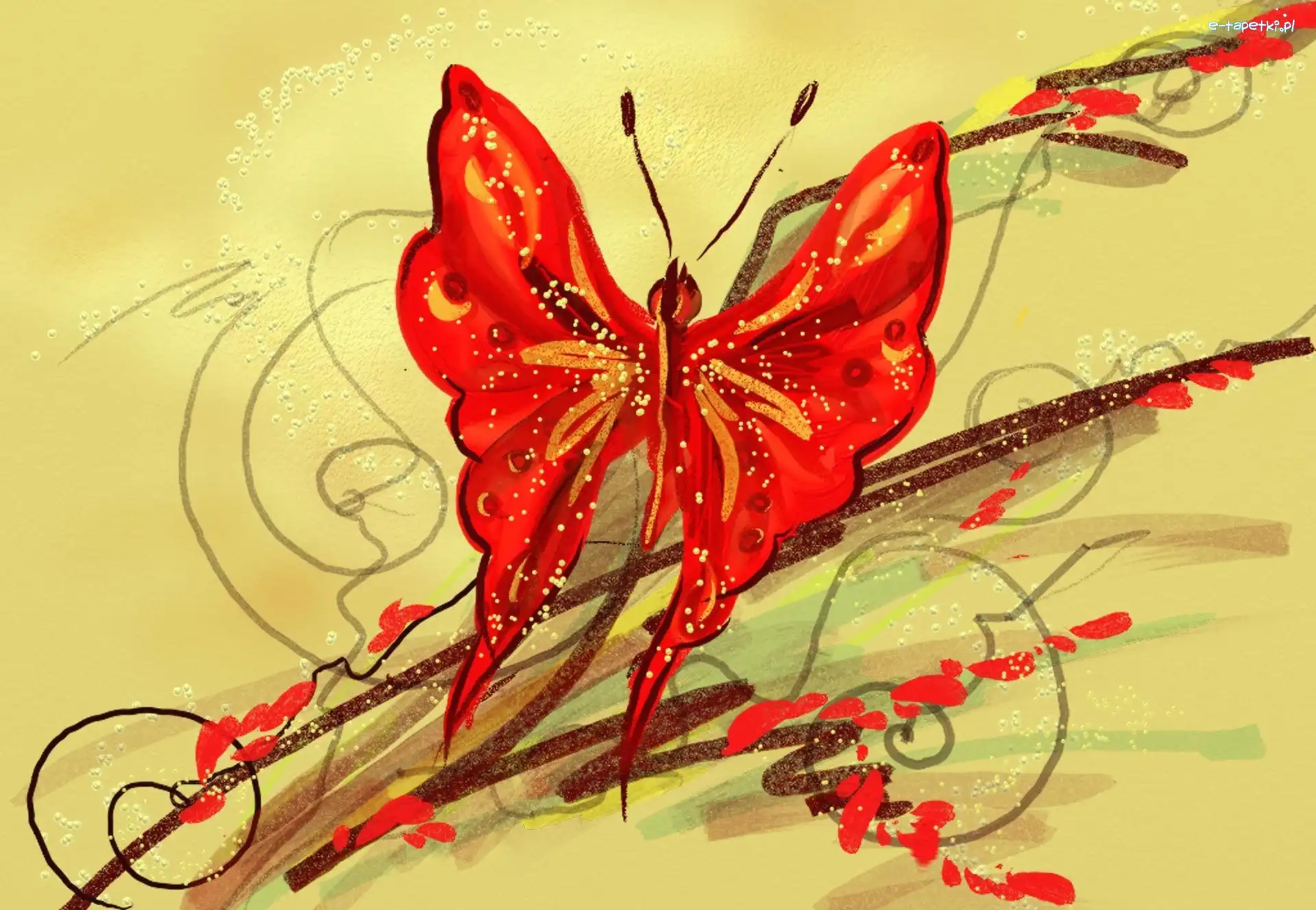 Abstrakcja, Motyl
