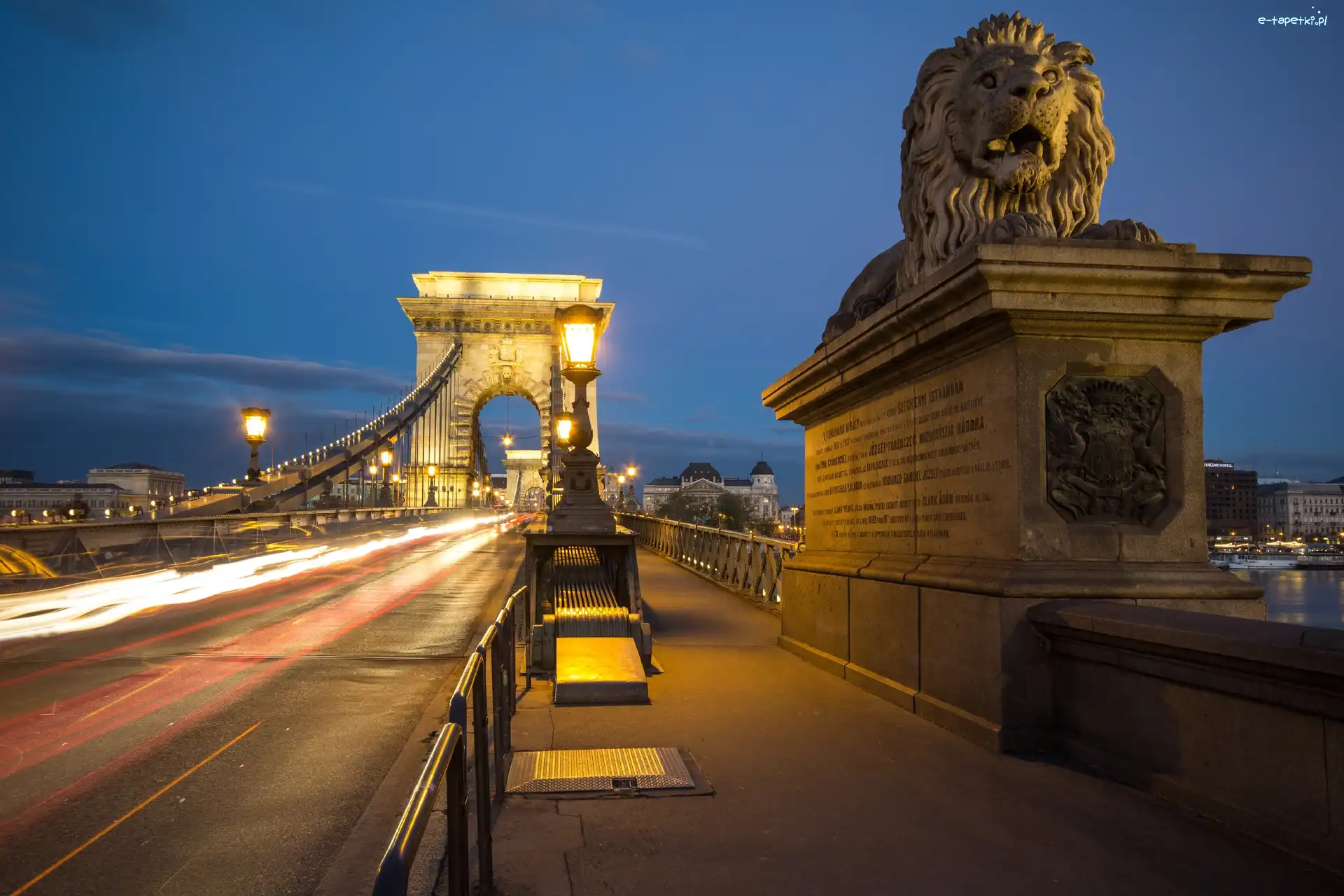 Lions, Most Łańcuchowy, Rzeka, Węgry, Budapeszt, Rzeźba, Dunaj