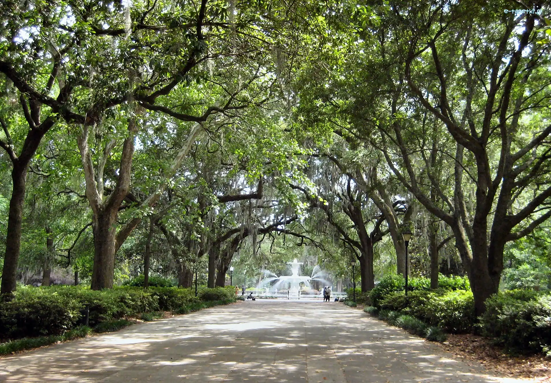 Savannah, Park, Forsyth, Georgia