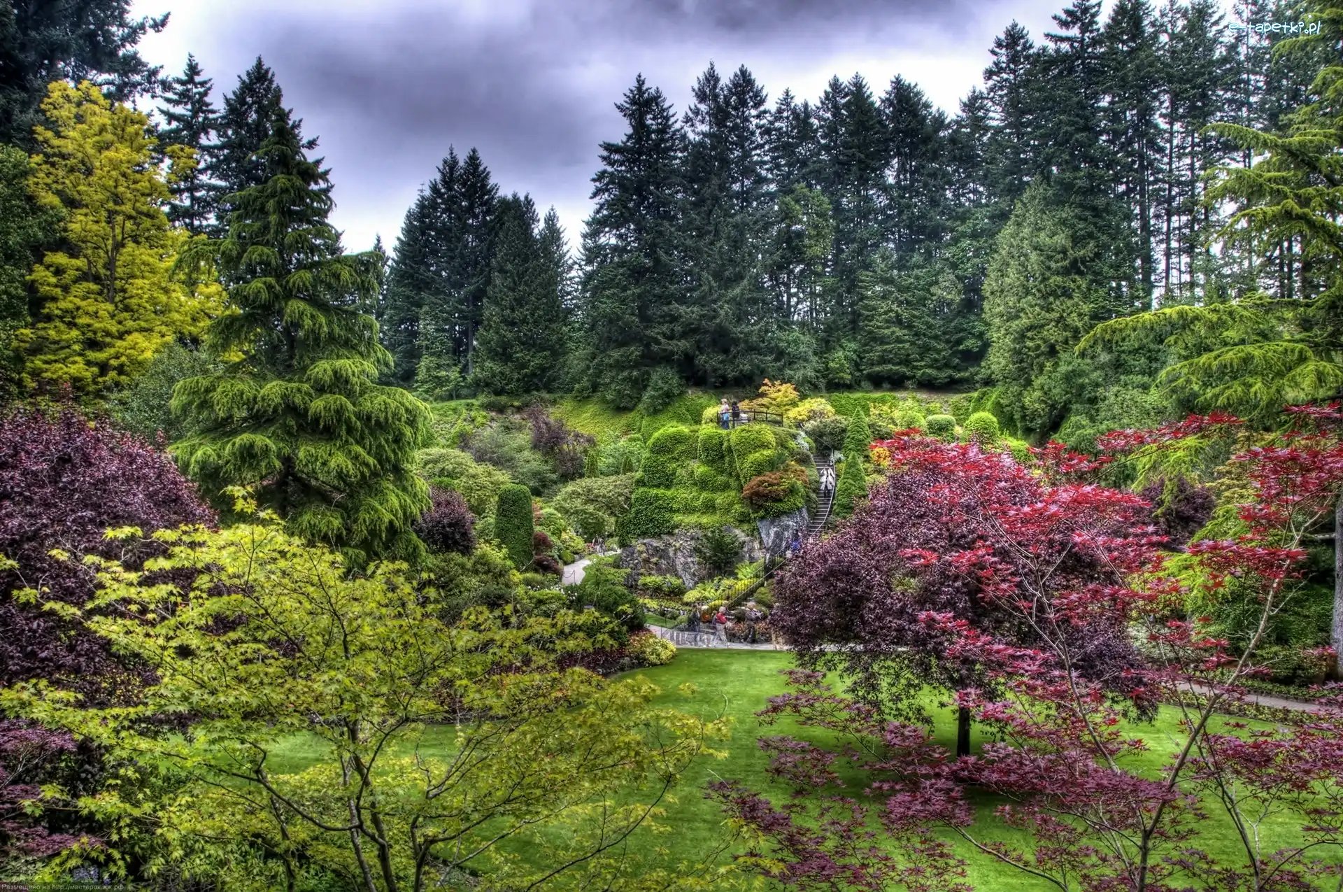 Lato, Burchart, Park, Victoria, Gardens